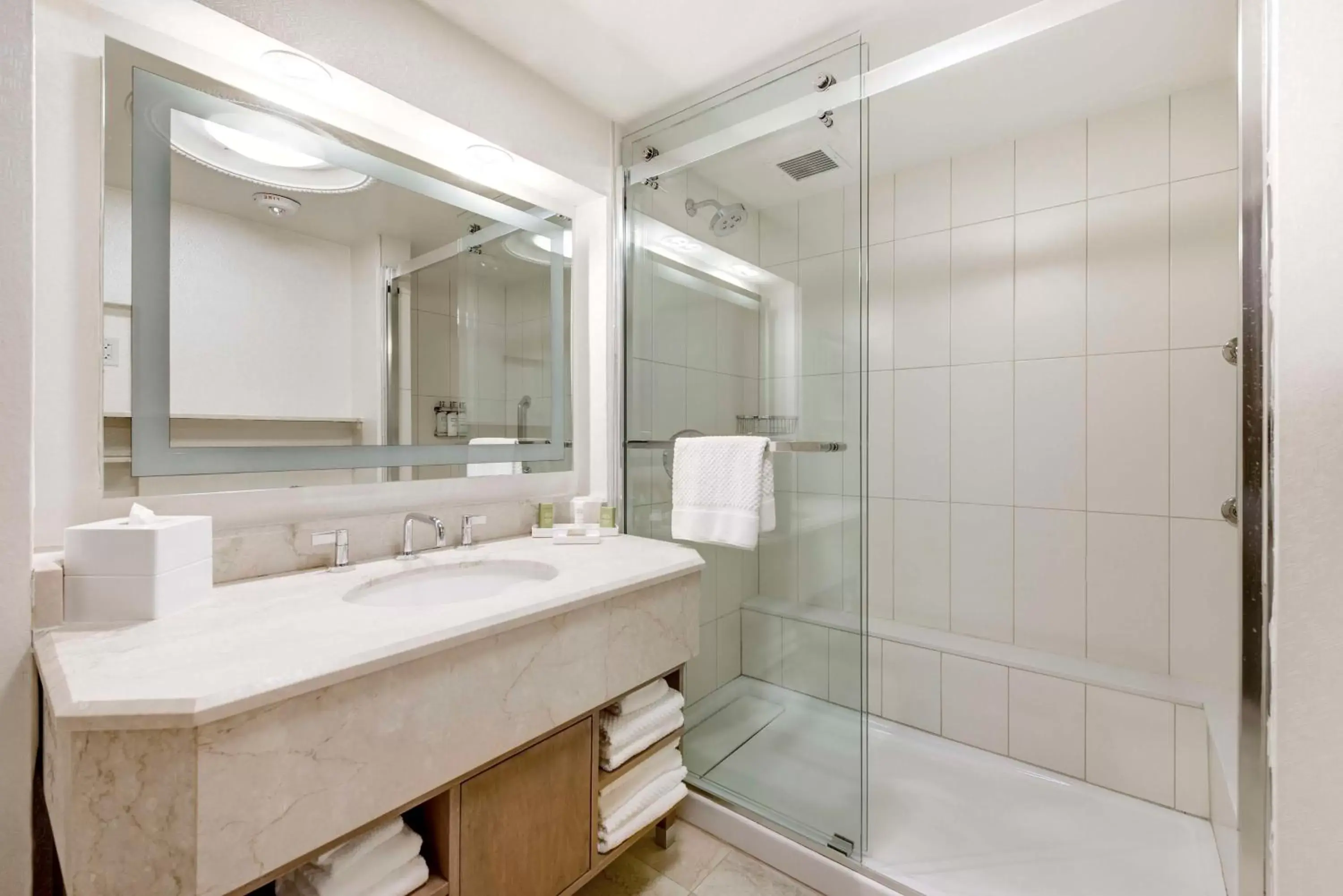 Bathroom in Hilton Washington DC Capitol Hill