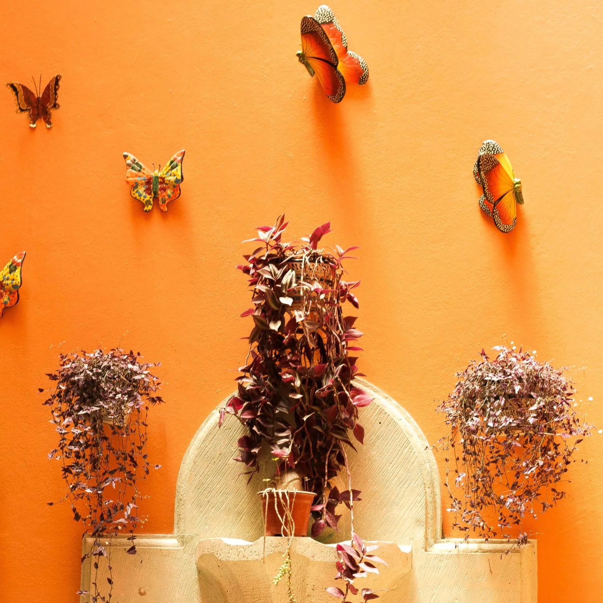 Decorative detail in Quinta Roca Hotel