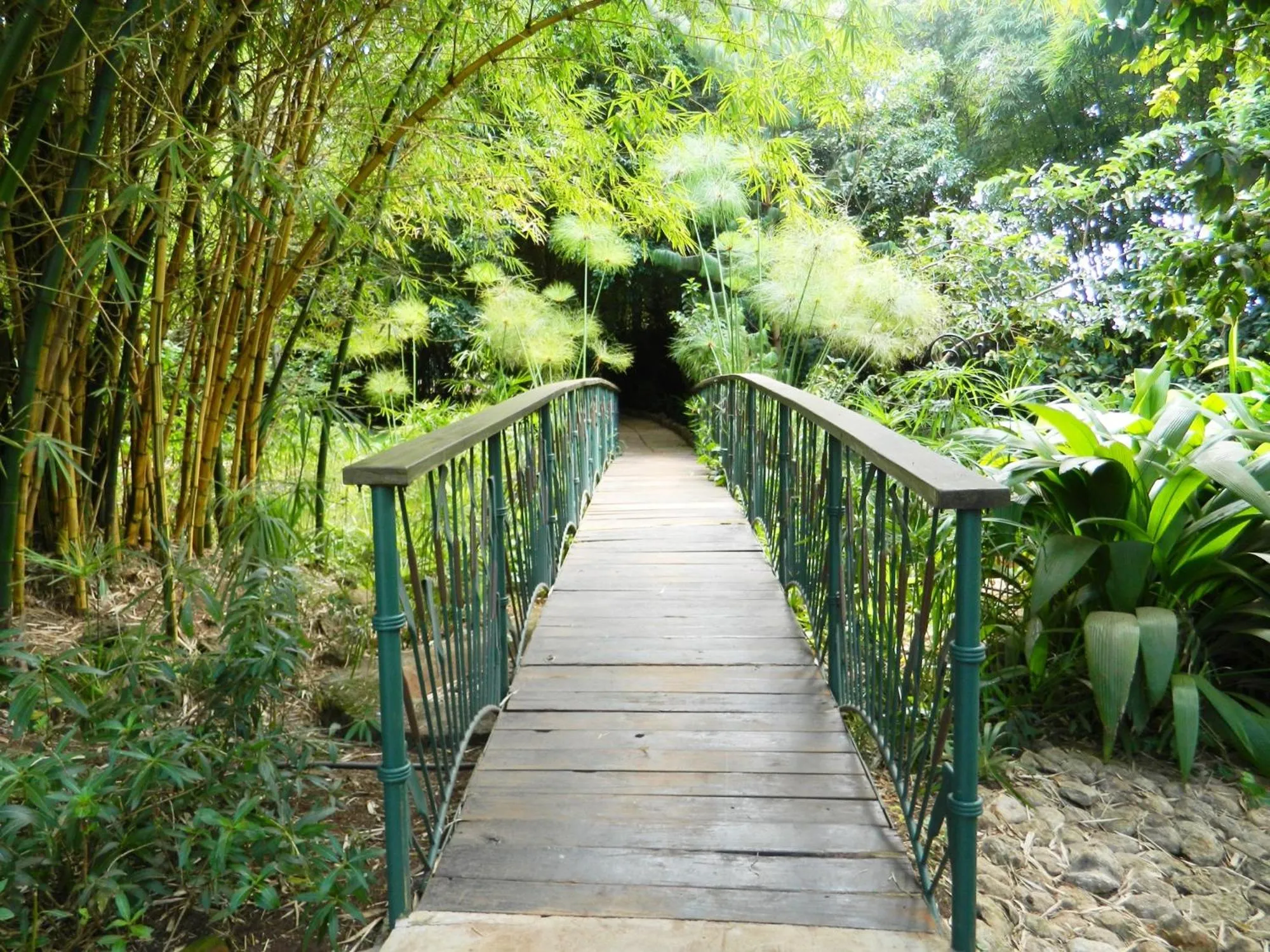 Garden in Octagon Lodge