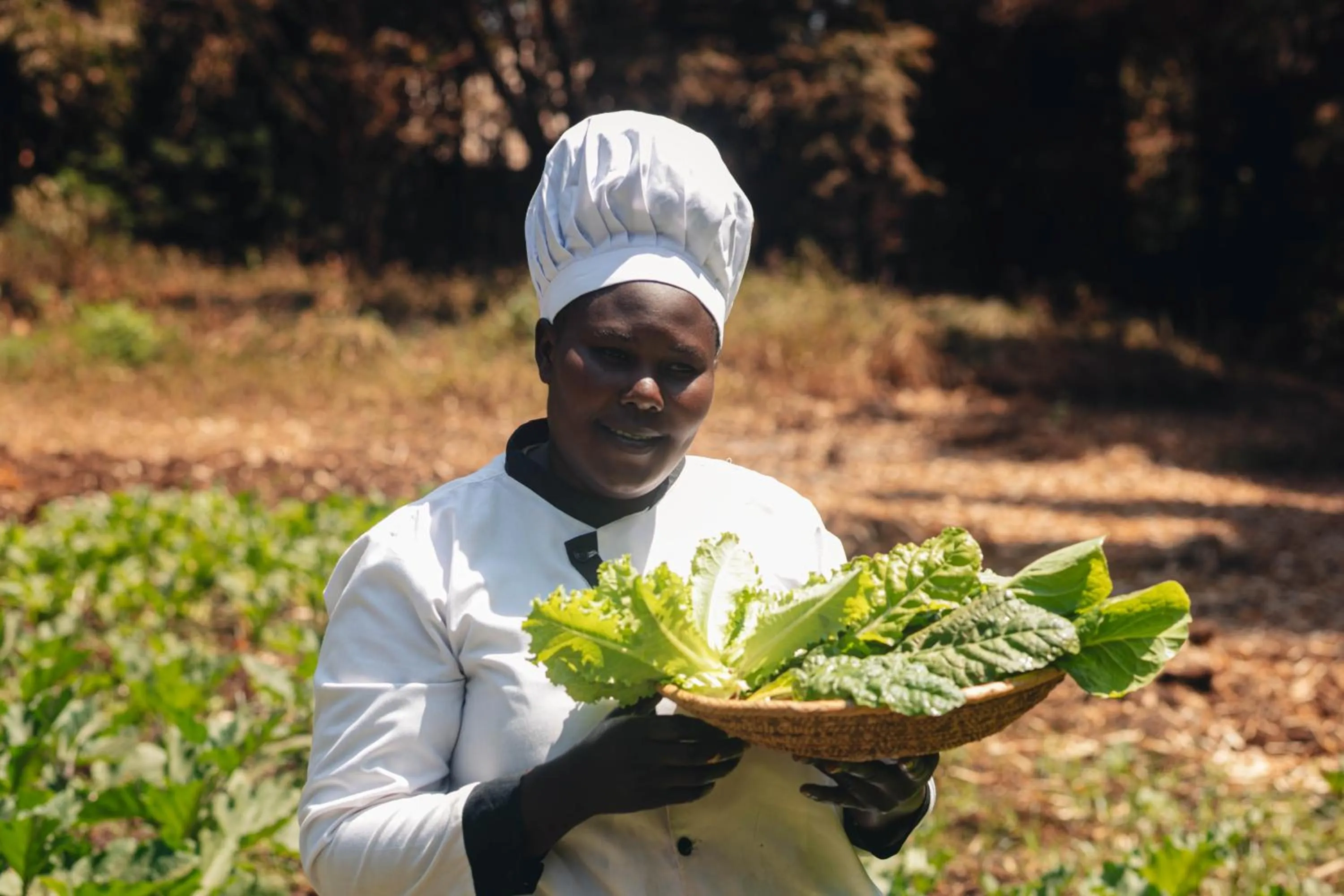 Garden in Octagon Lodge