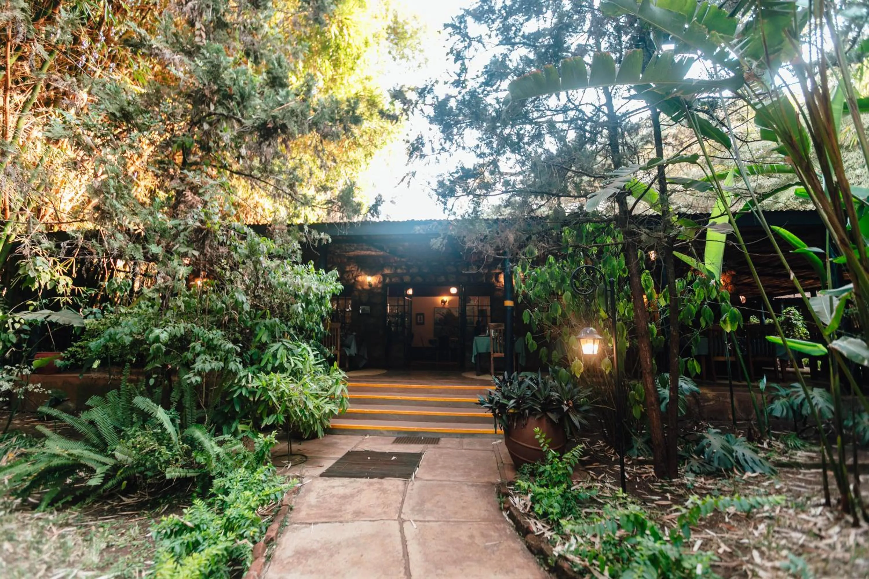 Restaurant/places to eat in Octagon Lodge