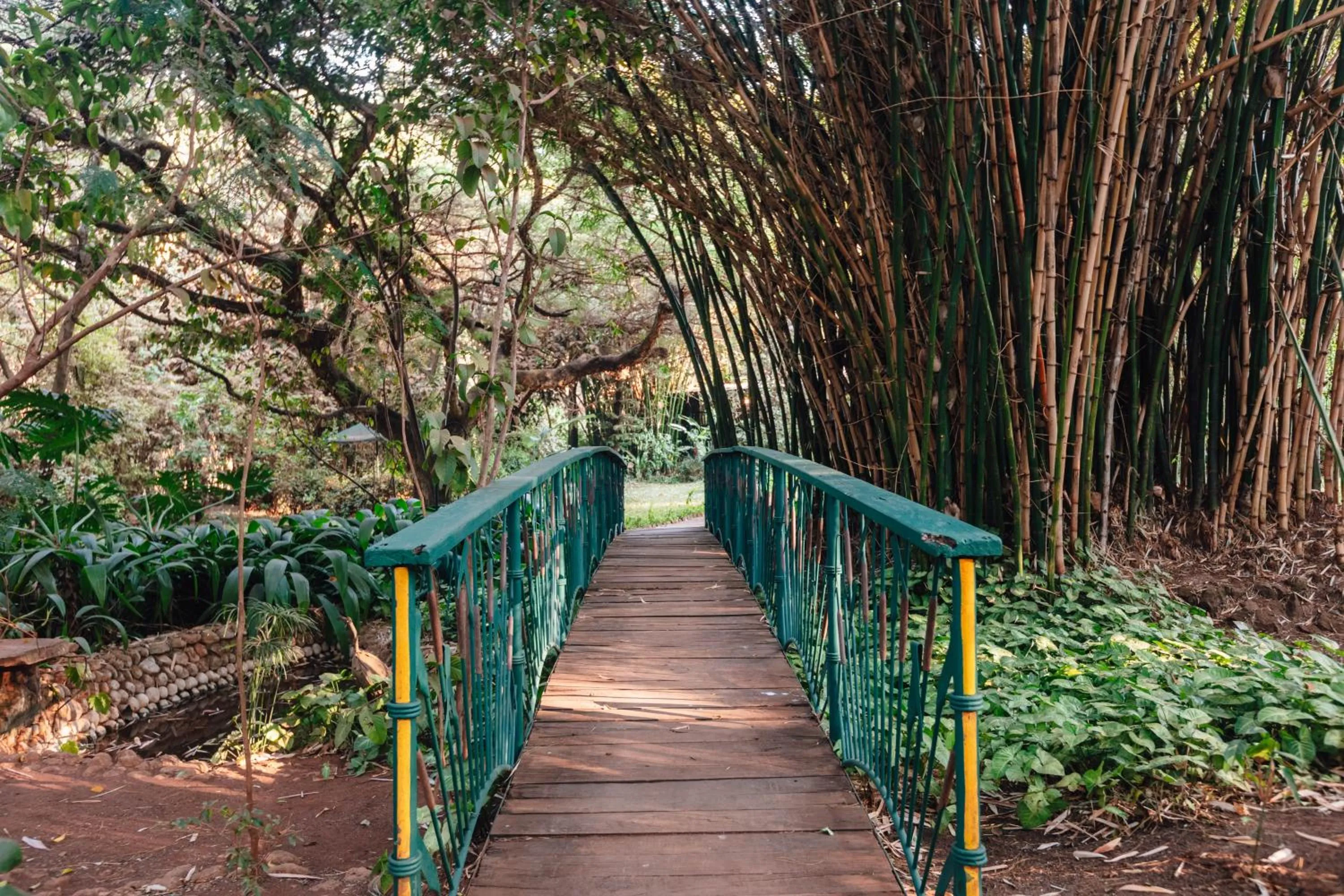 Natural landscape in Octagon Lodge