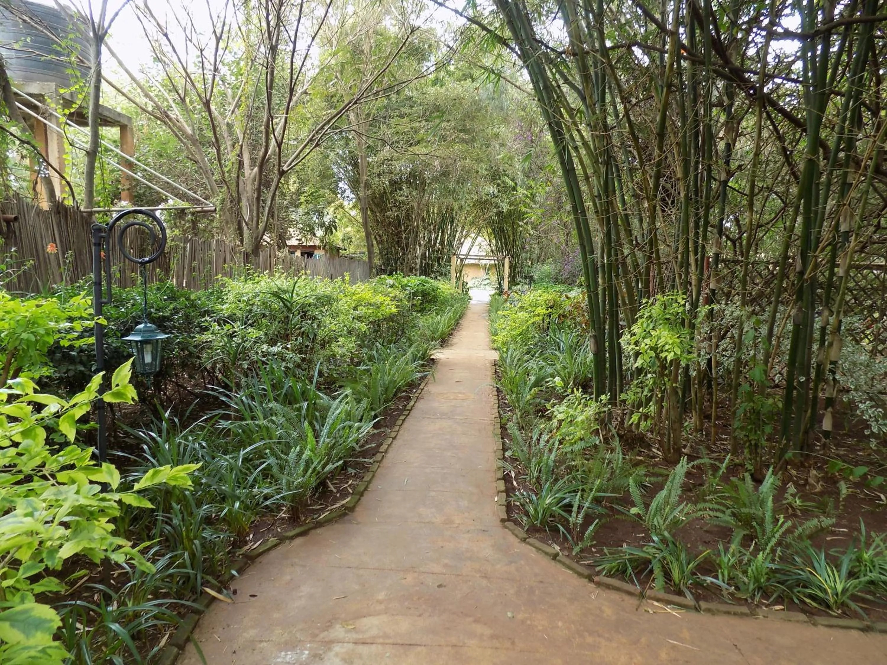 Garden in Octagon Lodge