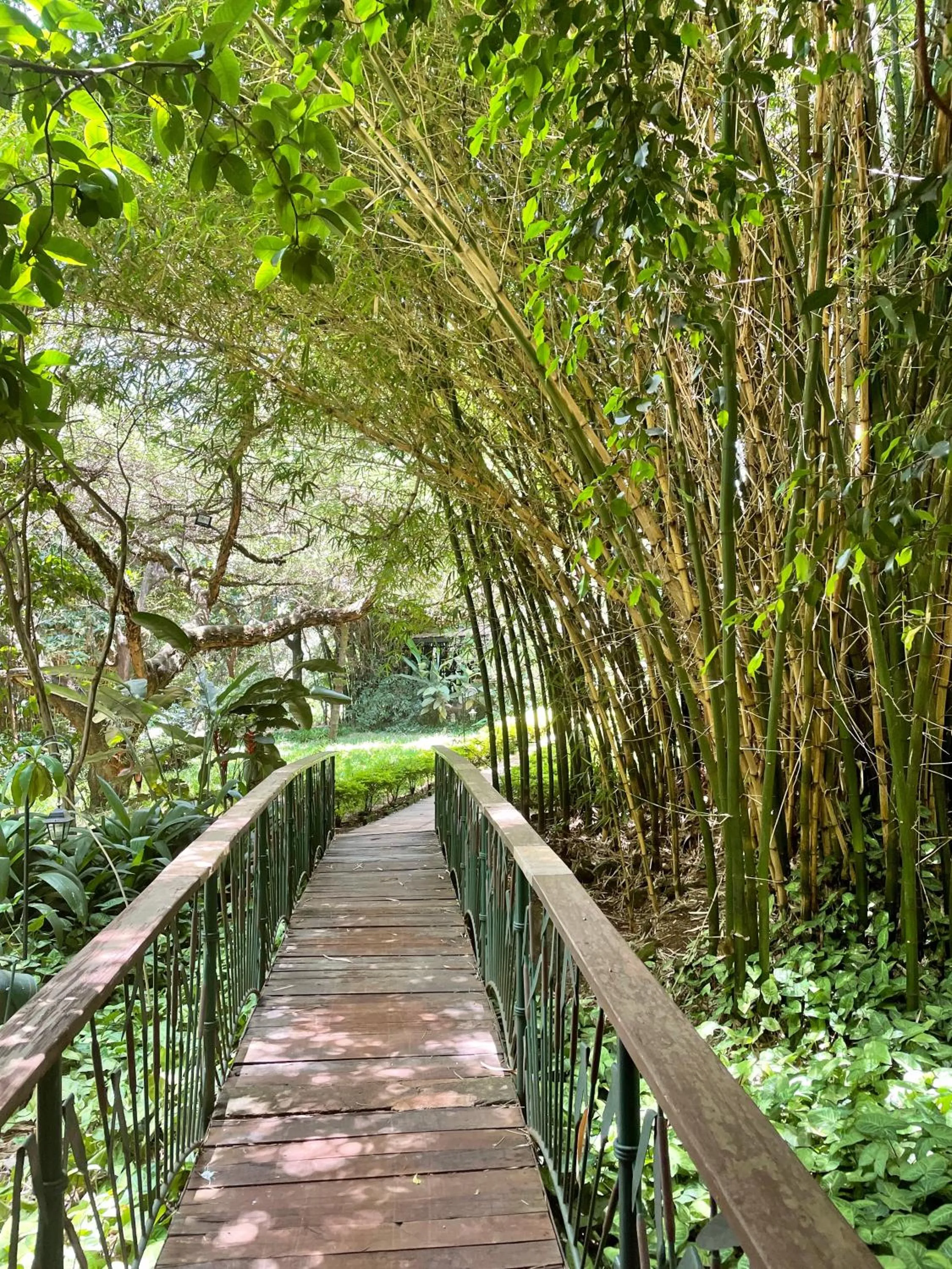 Natural landscape in Octagon Lodge