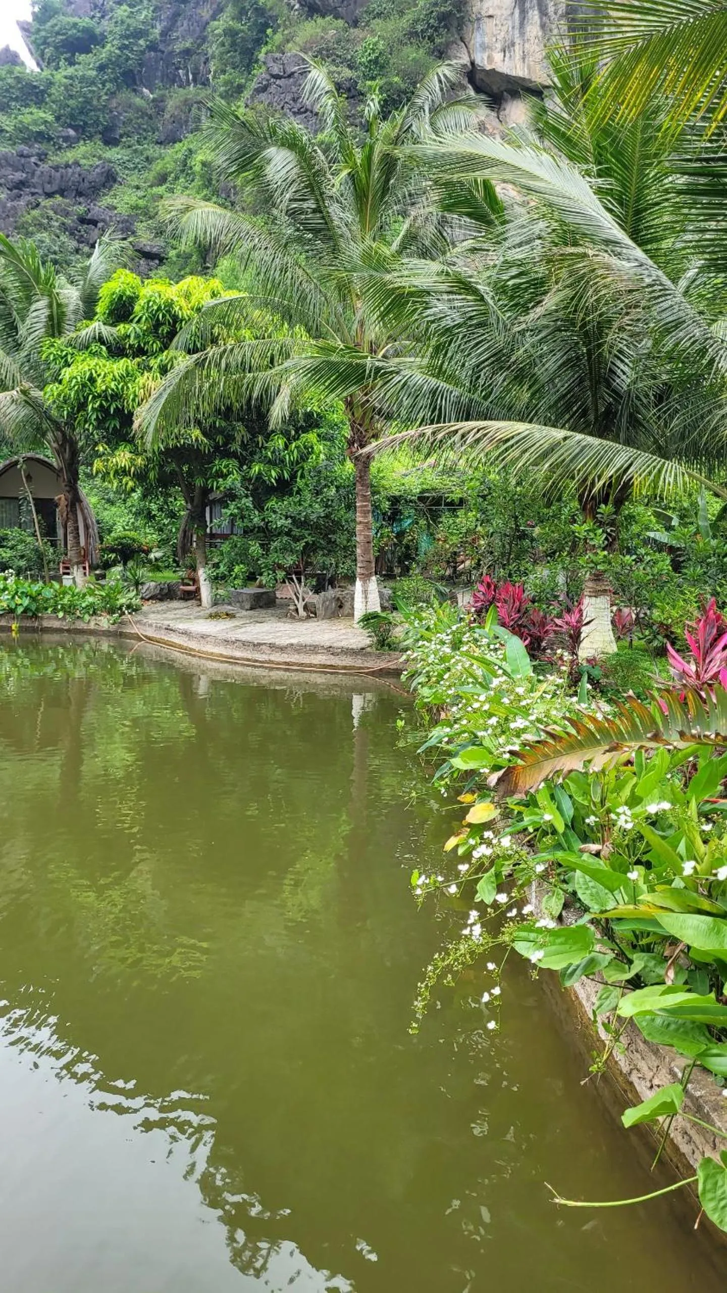 Garden in Fairy Mountain Retreat