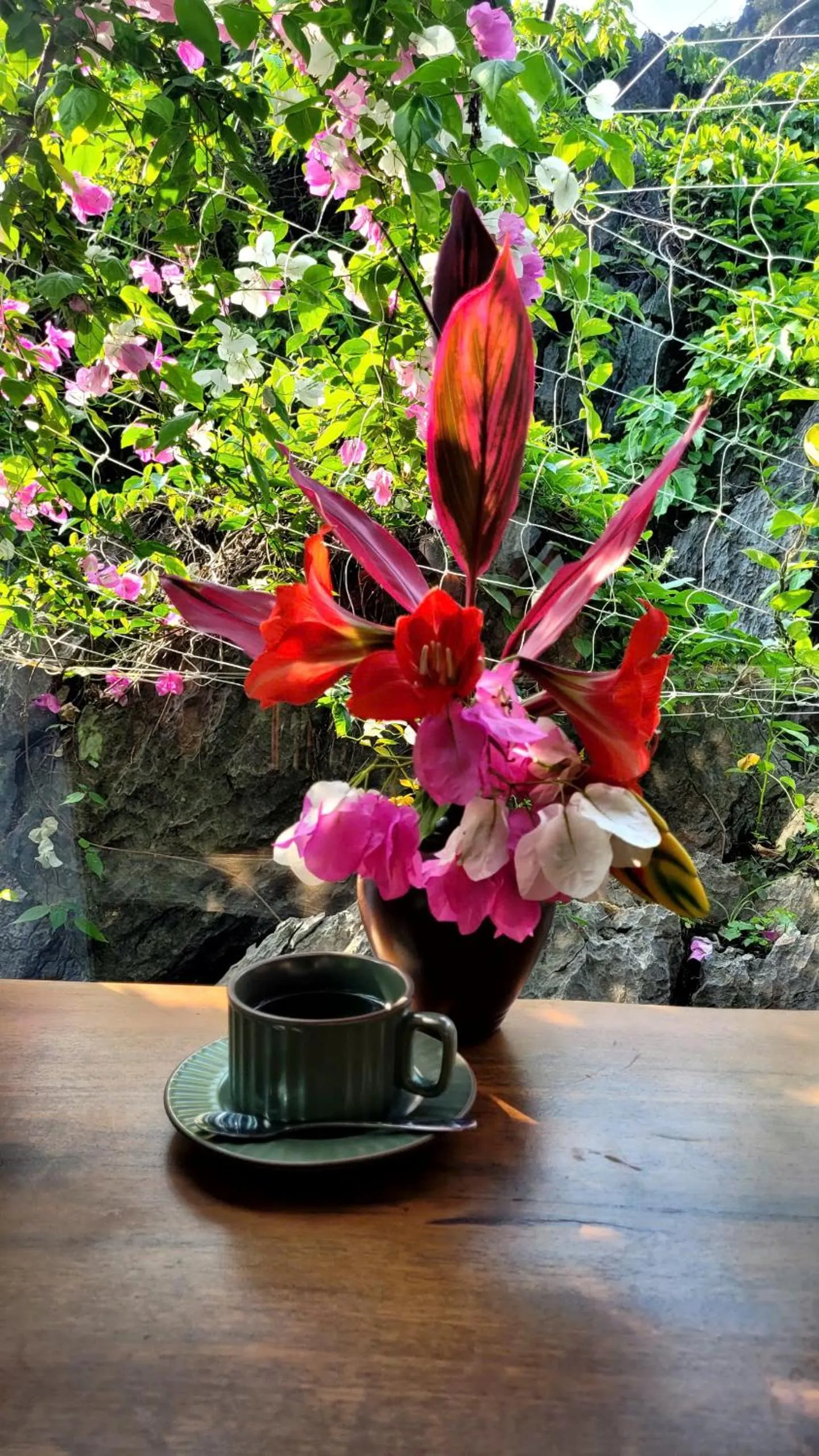 Spring in Fairy Mountain Retreat