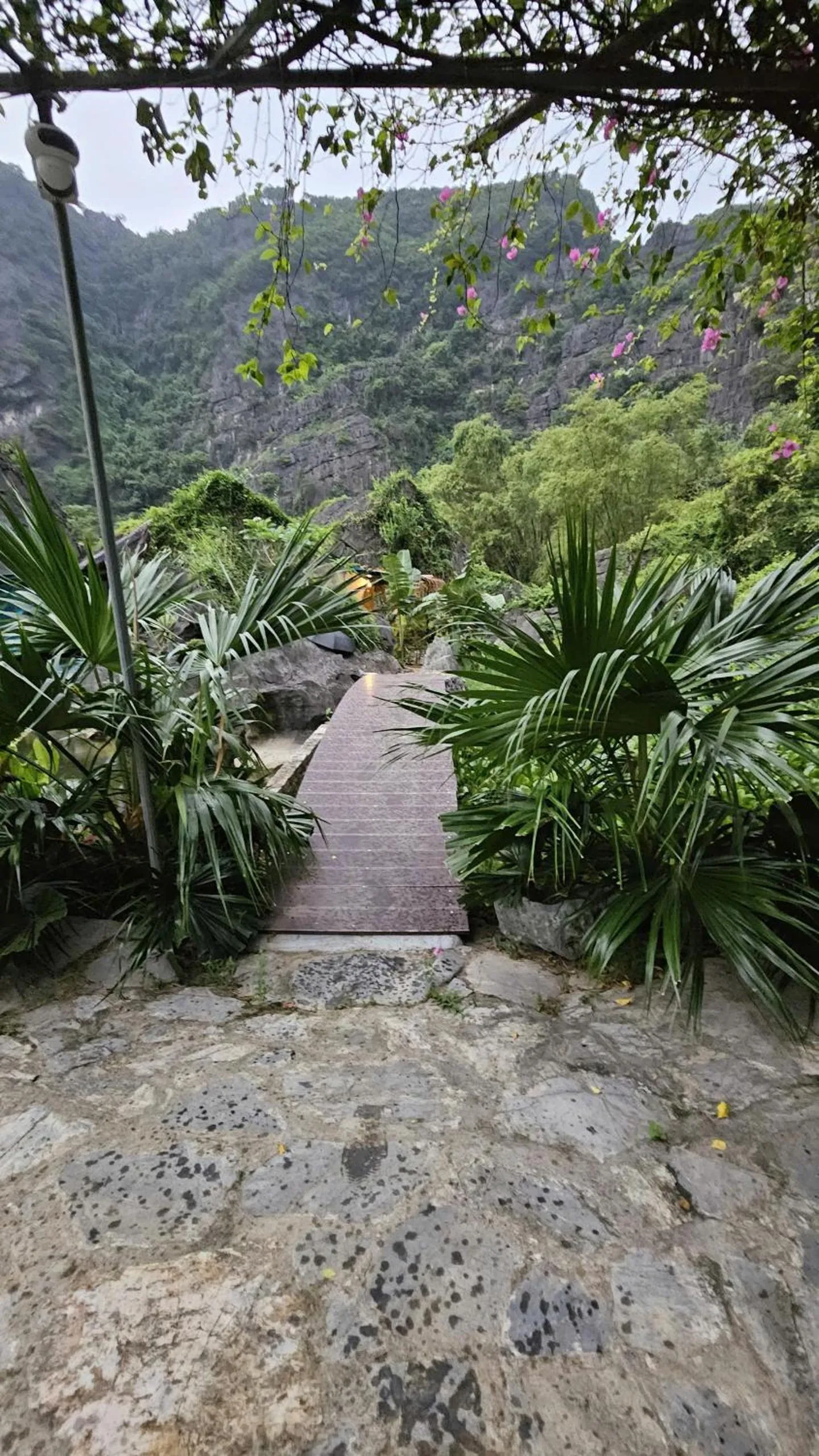 Fairy Mountain Retreat