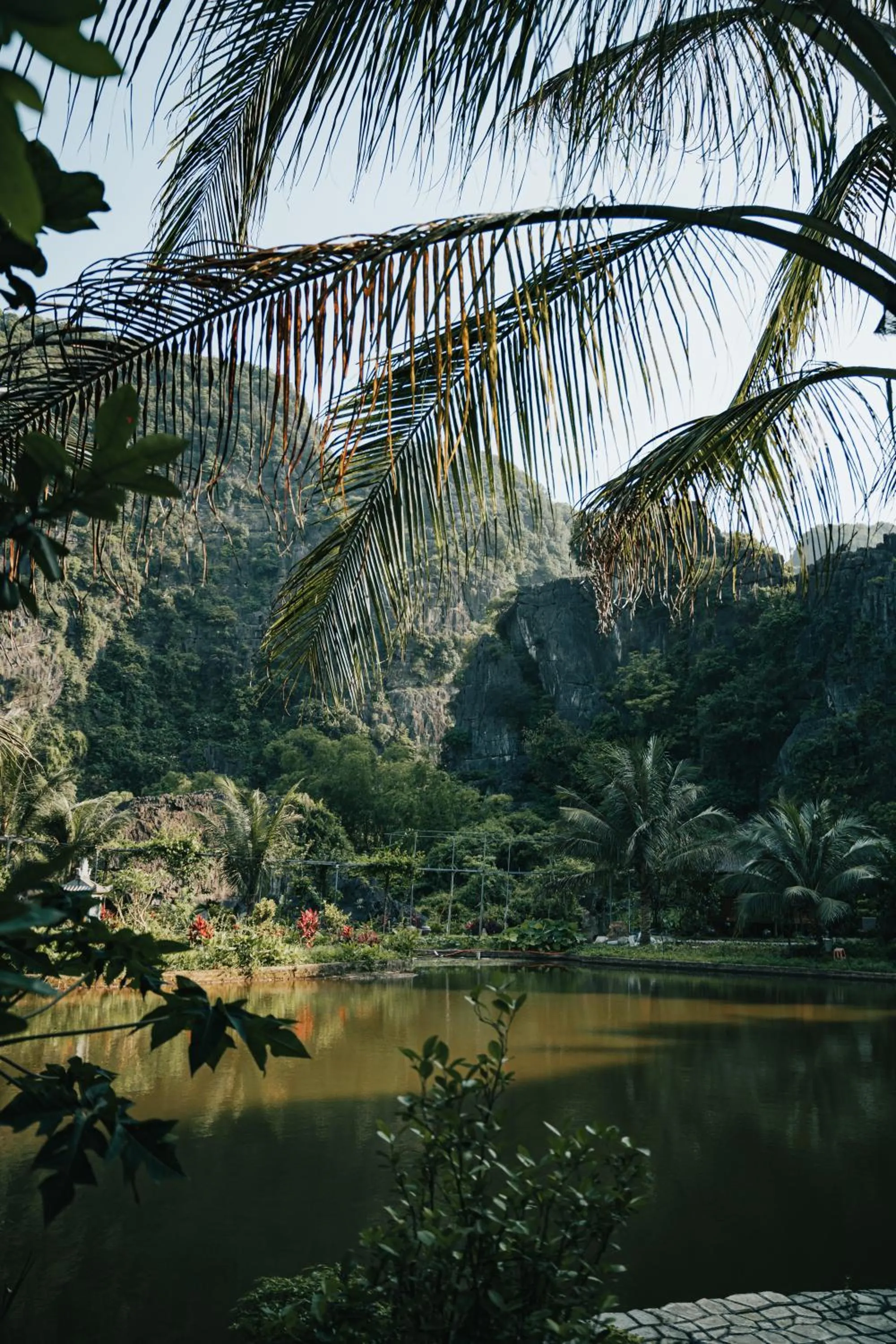 Natural landscape in Fairy Mountain Retreat