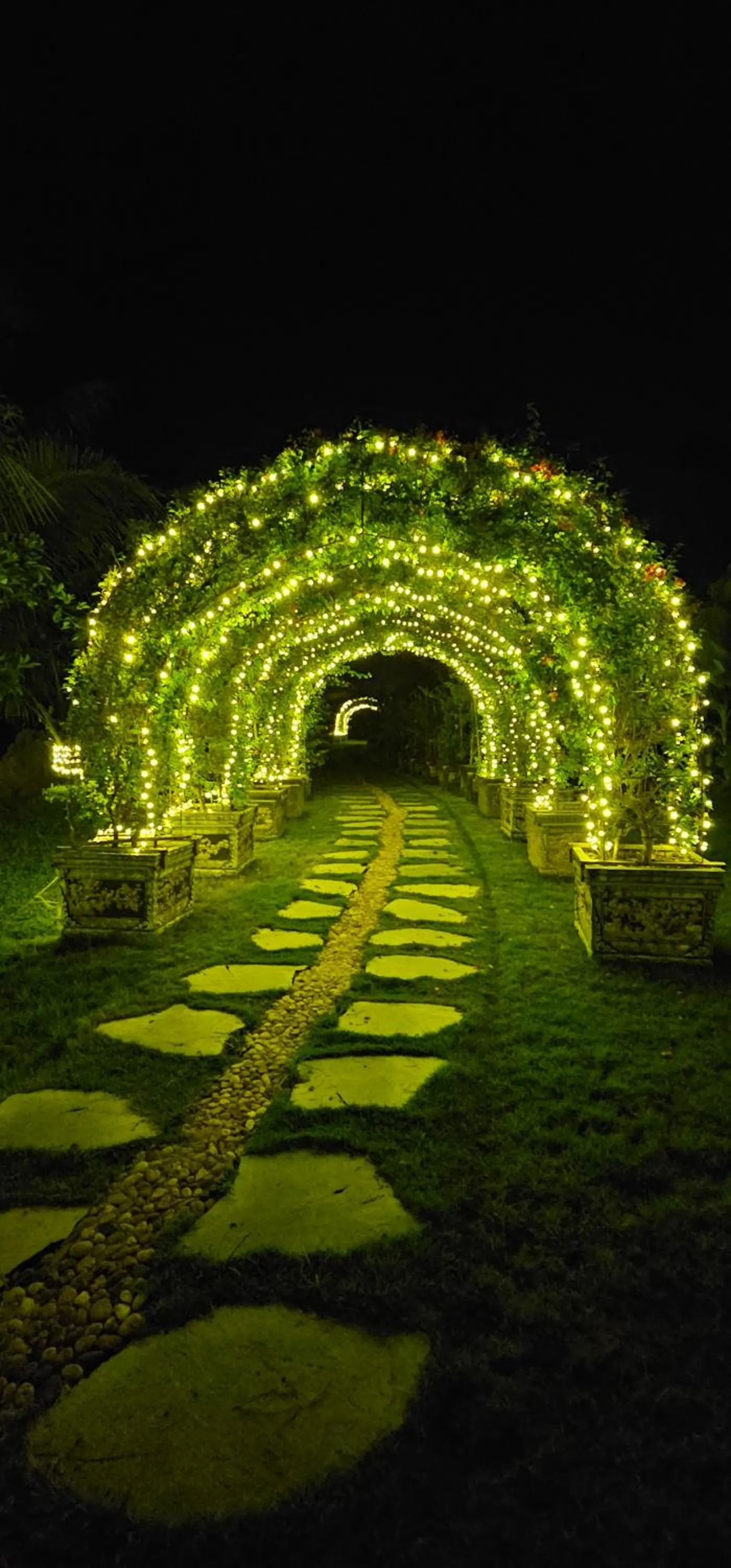 Night in Fairy Mountain Retreat
