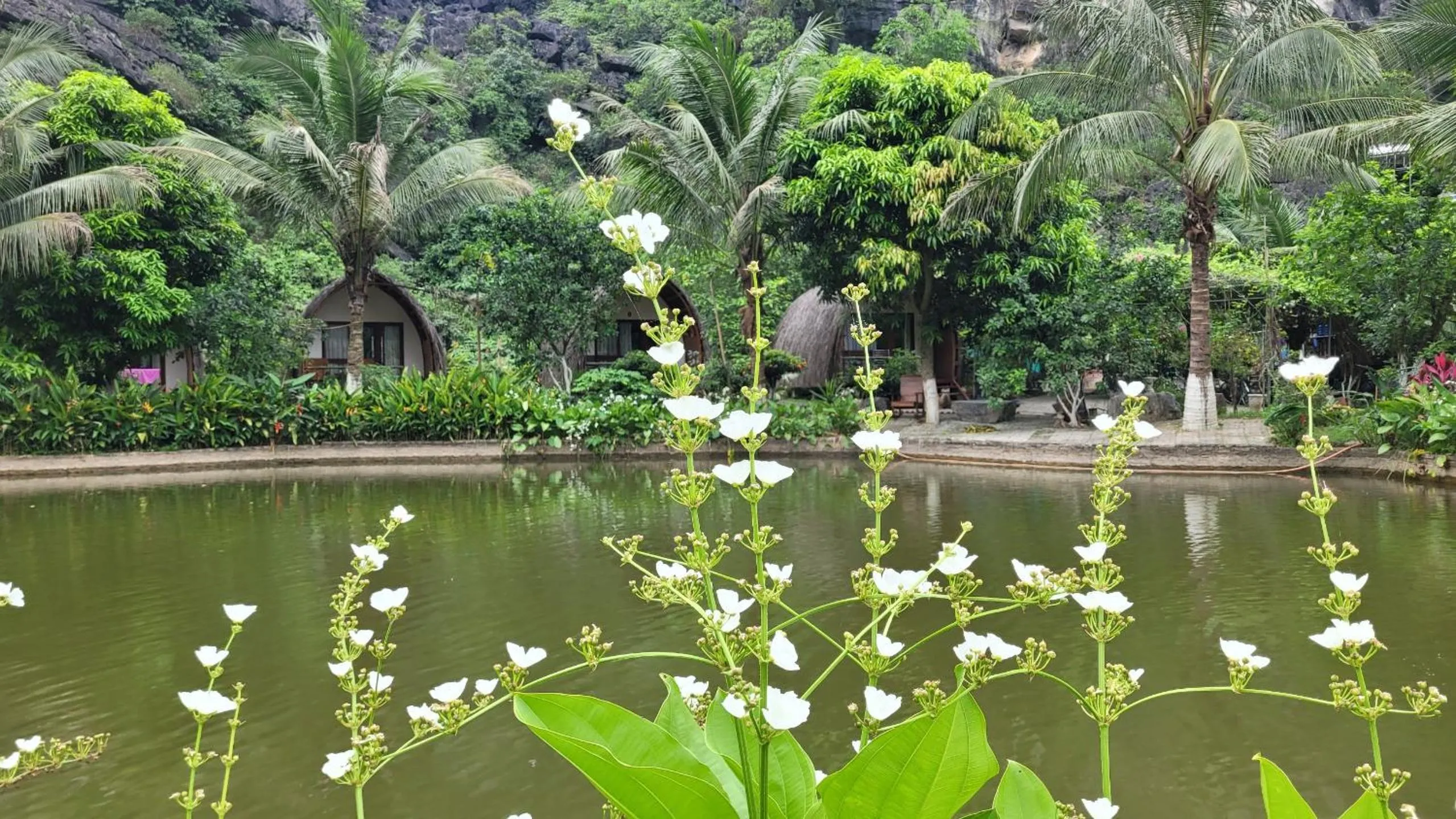 Garden in Fairy Mountain Retreat