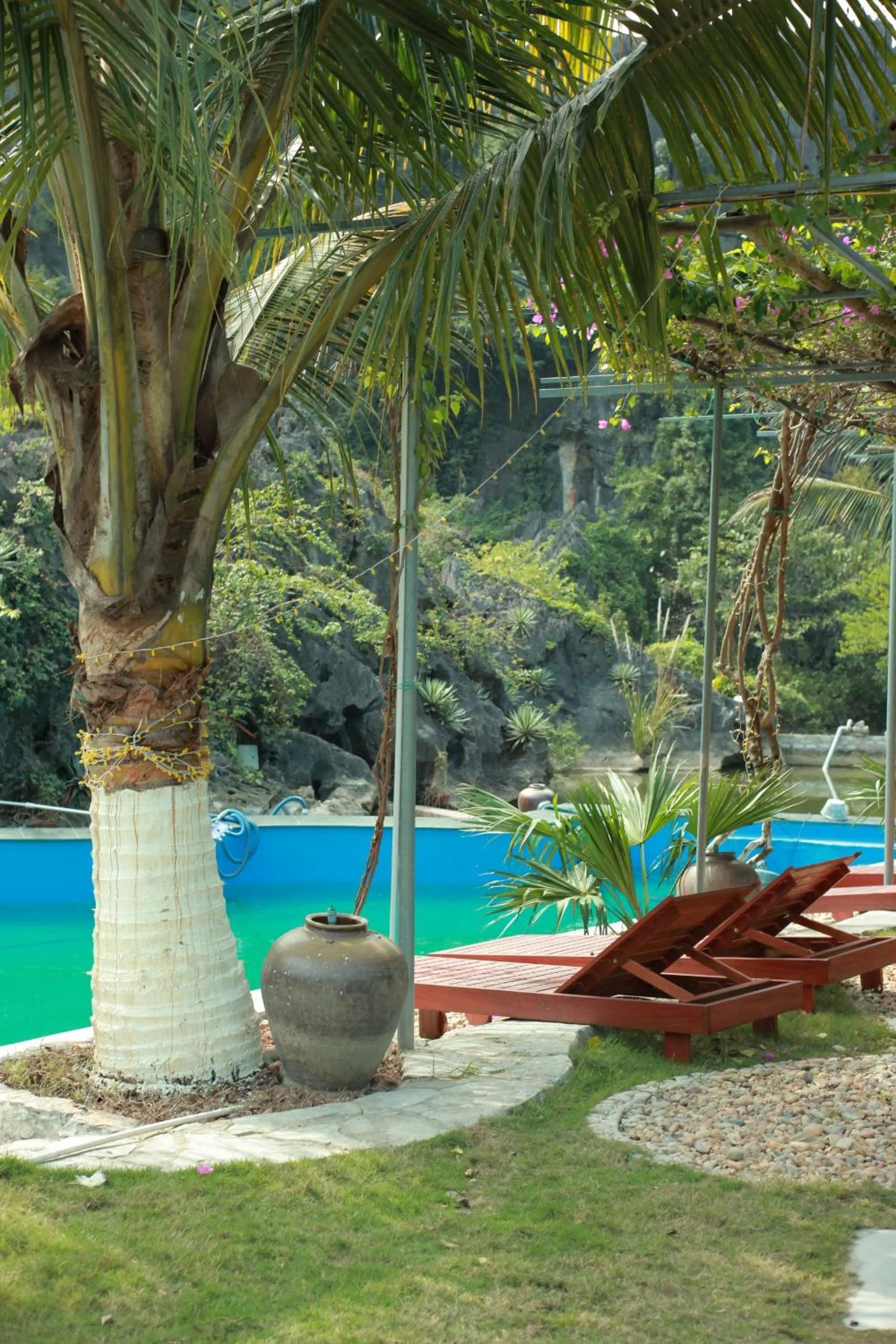 Garden in Fairy Mountain Retreat