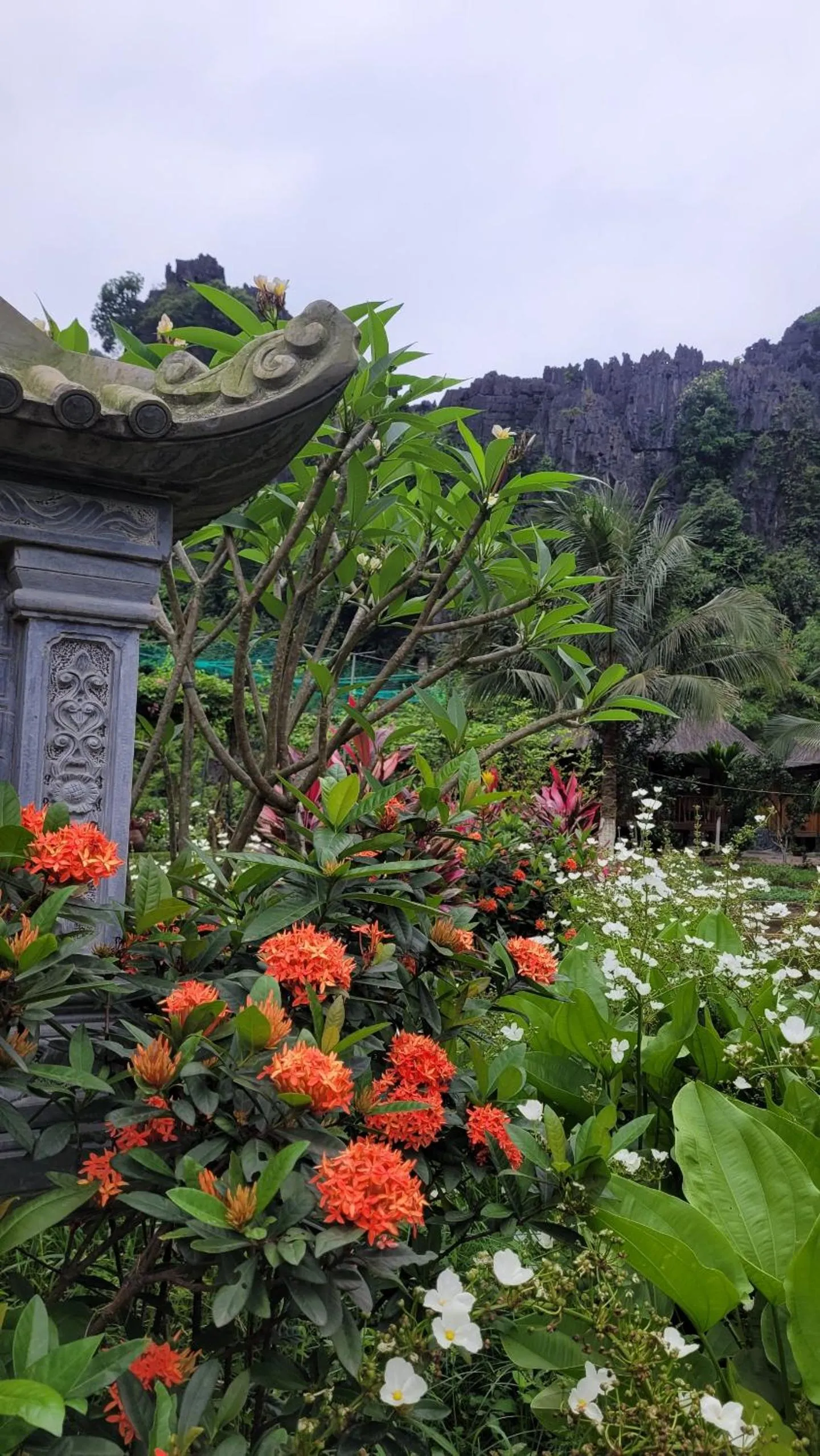 Garden in Fairy Mountain Retreat