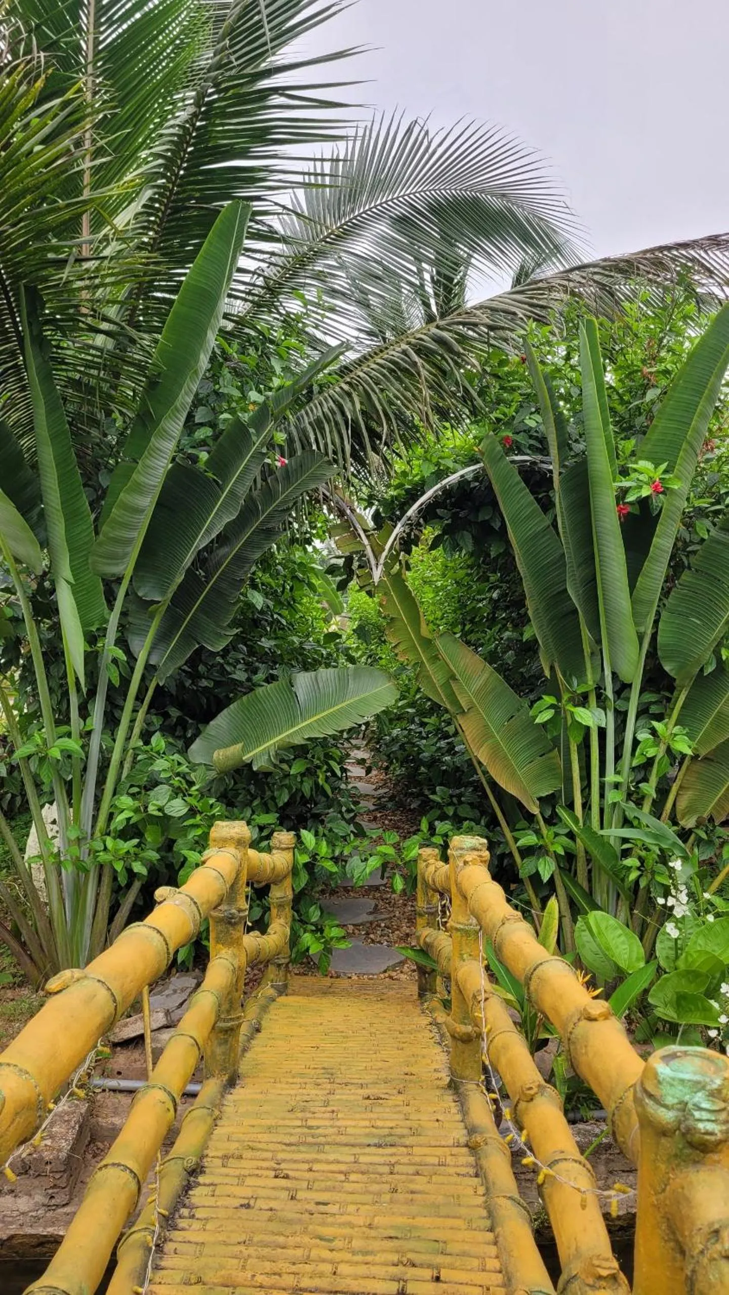 Garden in Fairy Mountain Retreat
