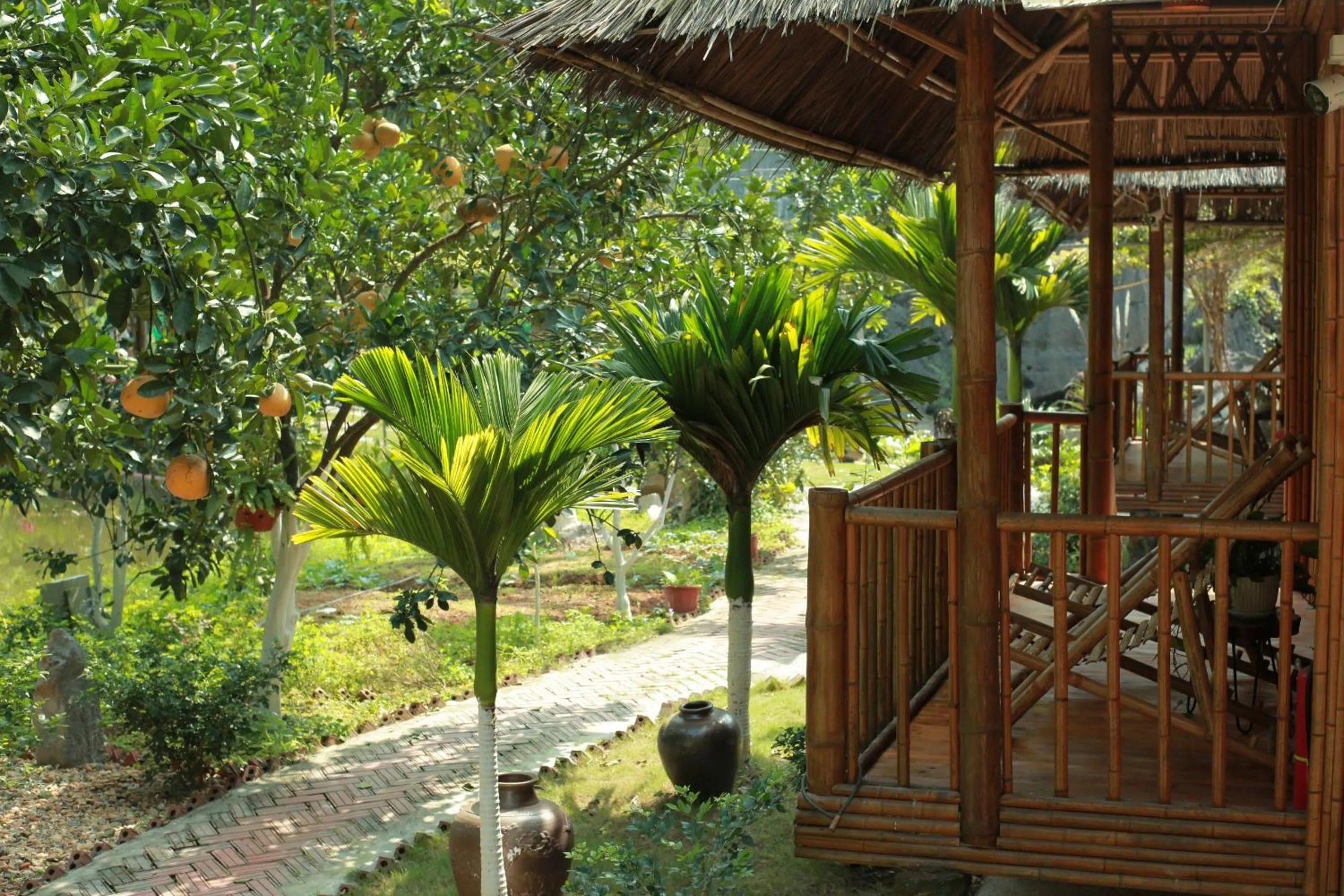 Garden in Fairy Mountain Retreat