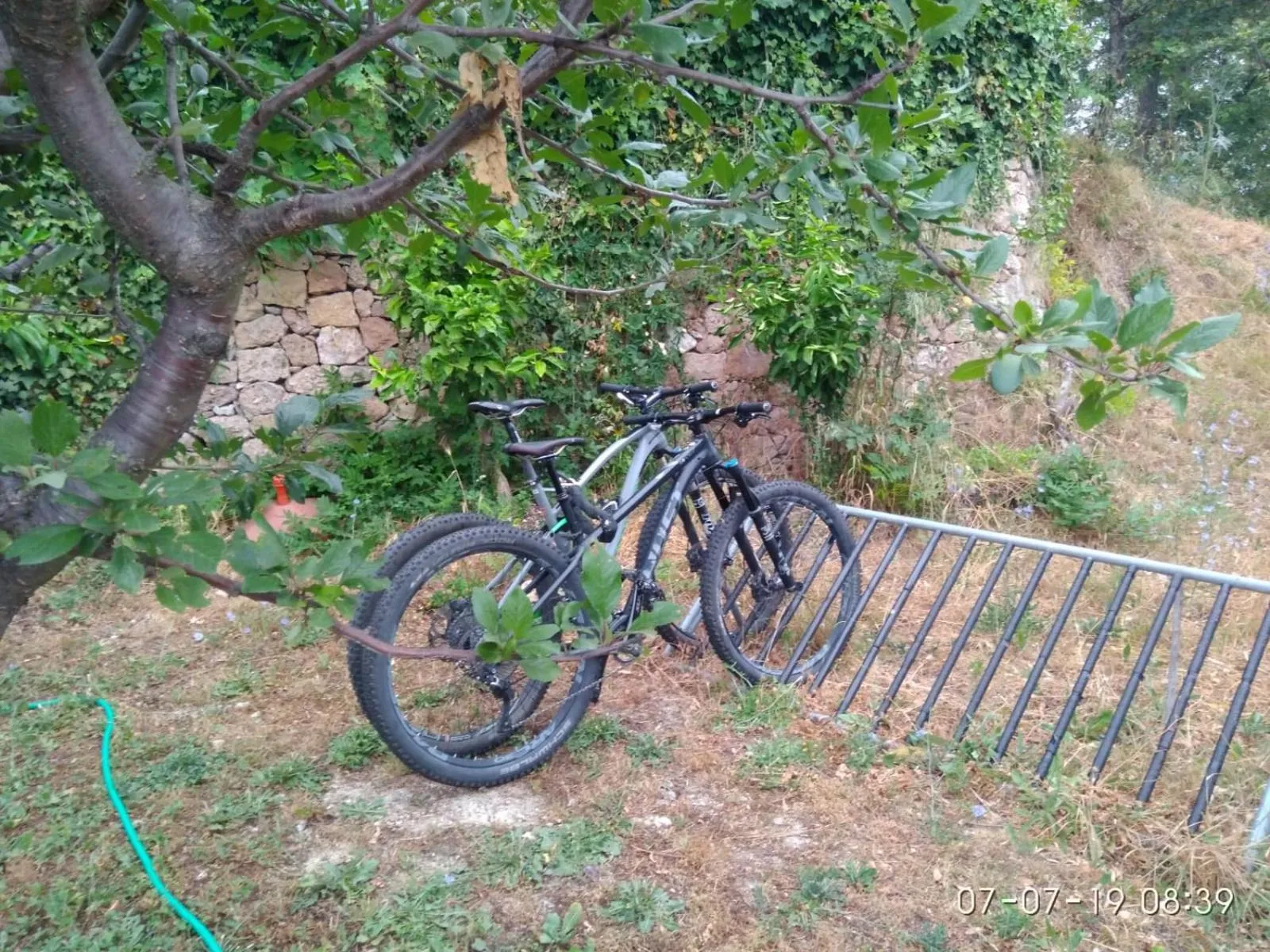 Activities in Segni e Impronta