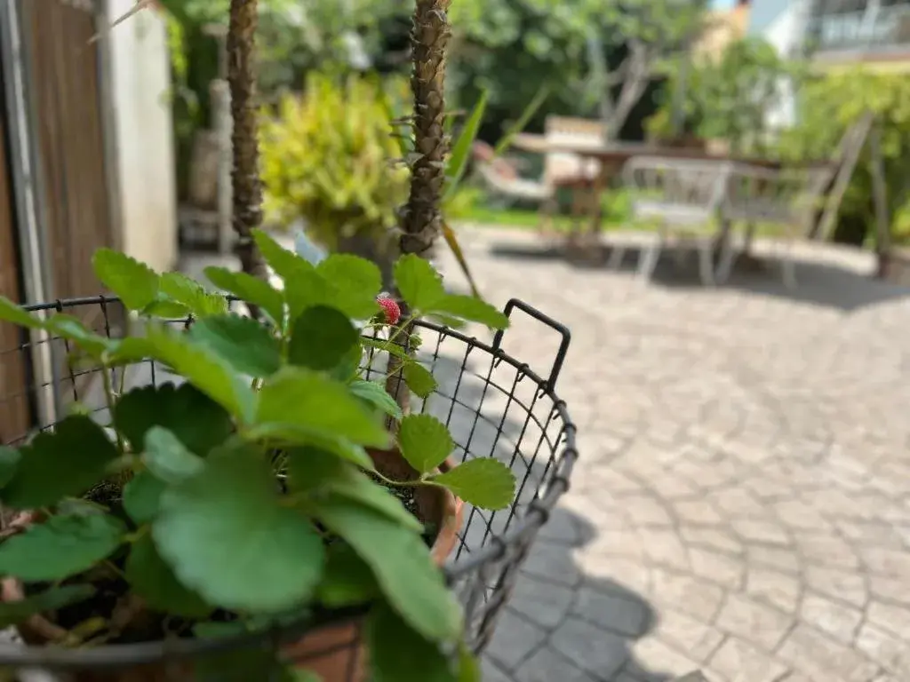 Studio in At Home in Malaga Stay & Solo Travellers Studio in At Home in Malaga Stay & Solo Travellers