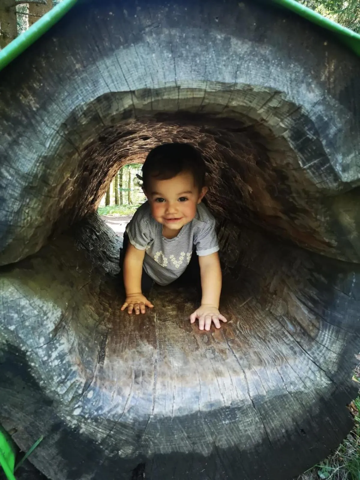 Activities in Hotel & Alpengasthof Pinzgerhof