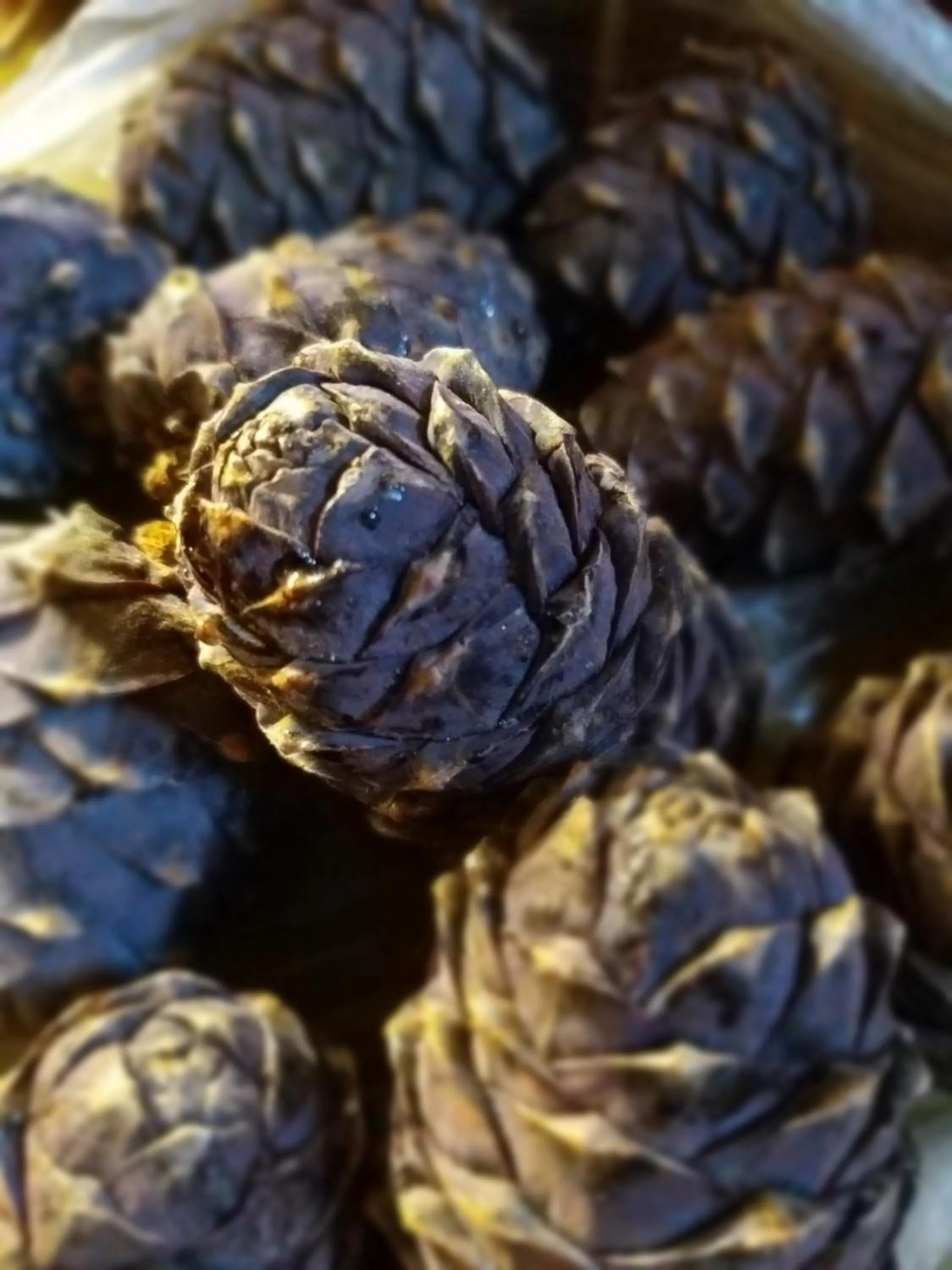 Alcoholic drinks in Hotel & Alpengasthof Pinzgerhof