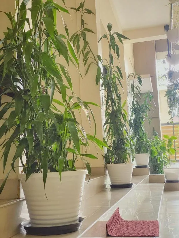 Wayanad Cliff Hotel Apartments