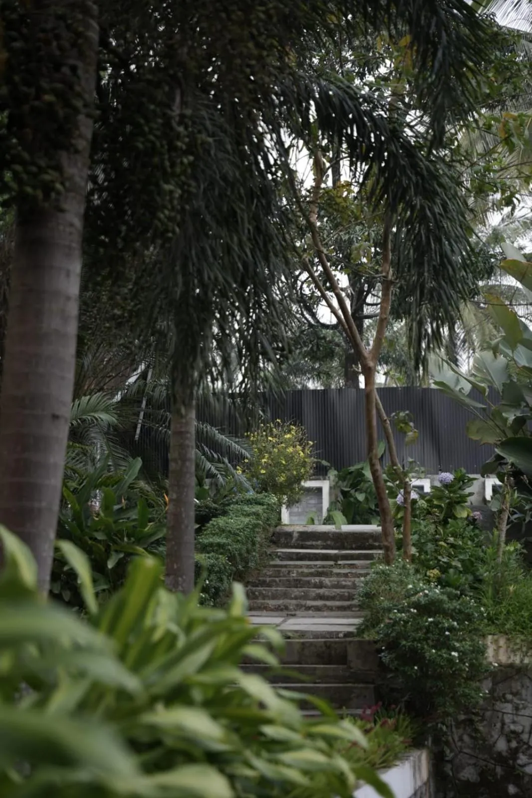 Garden in Wayanad Cliff Hotel Apartments
