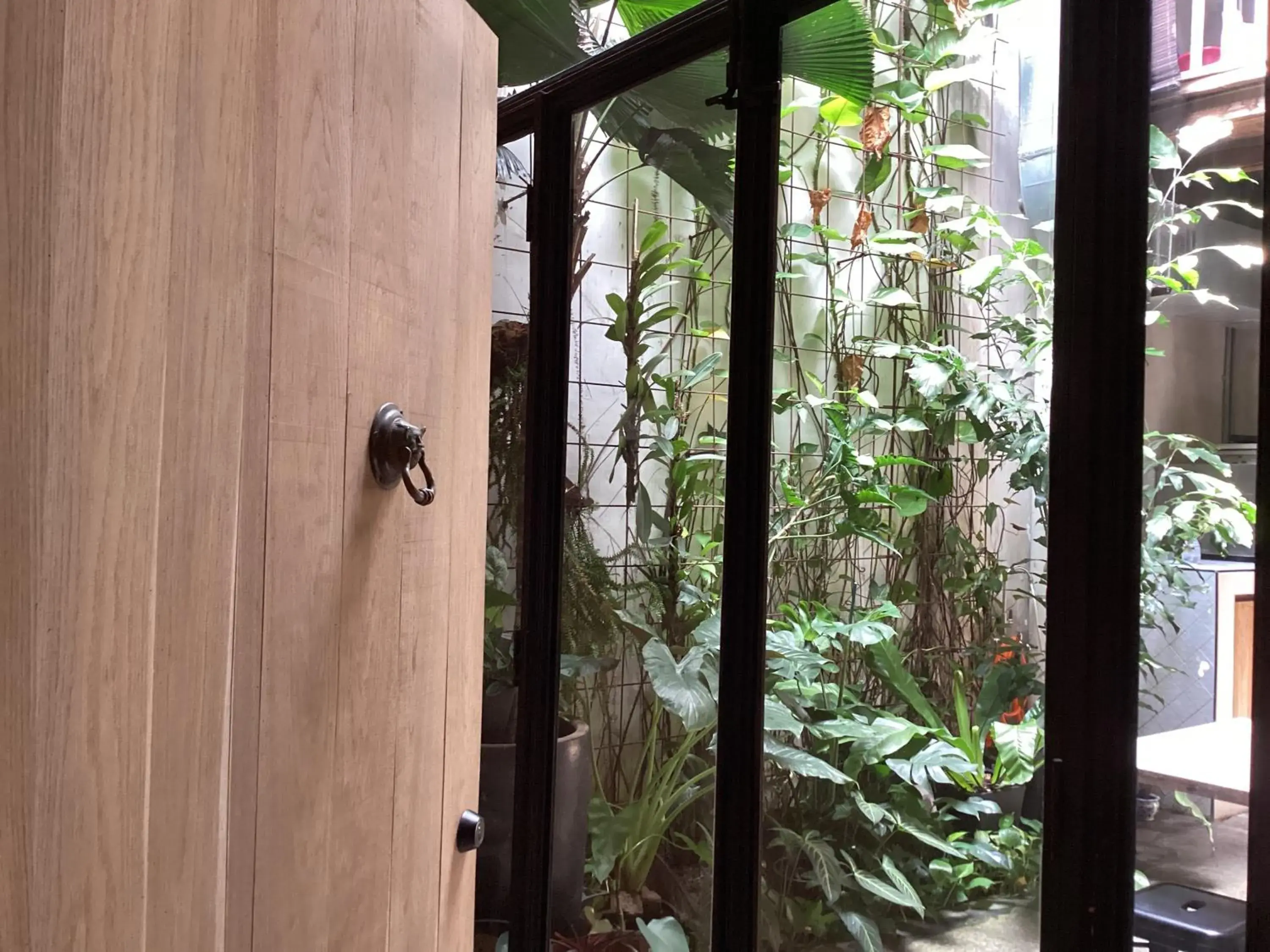 King Room with Garden View in The Opposite Place King Room with Garden View in The Opposite Place