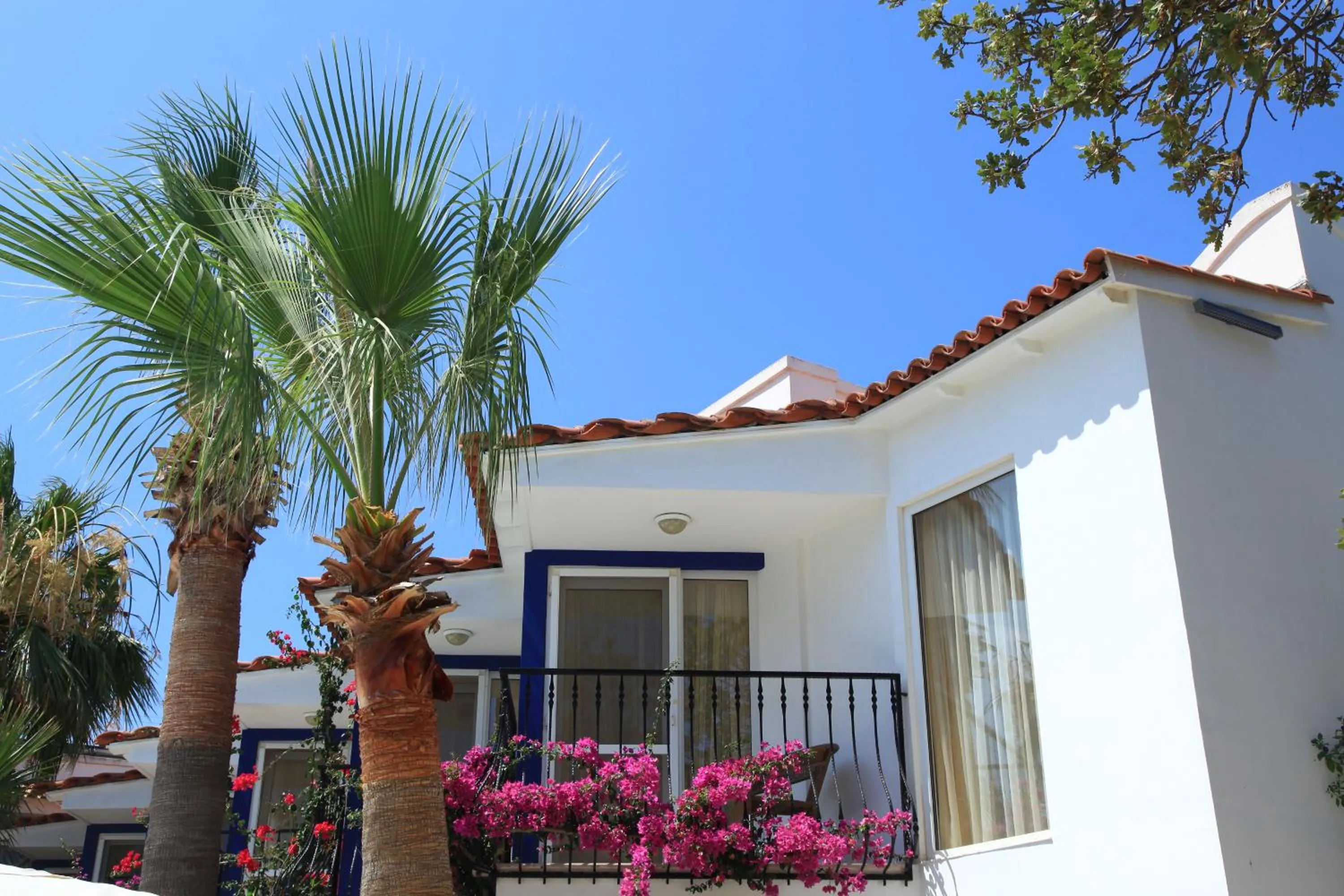 Balcony/Terrace in Catamaran Hotel