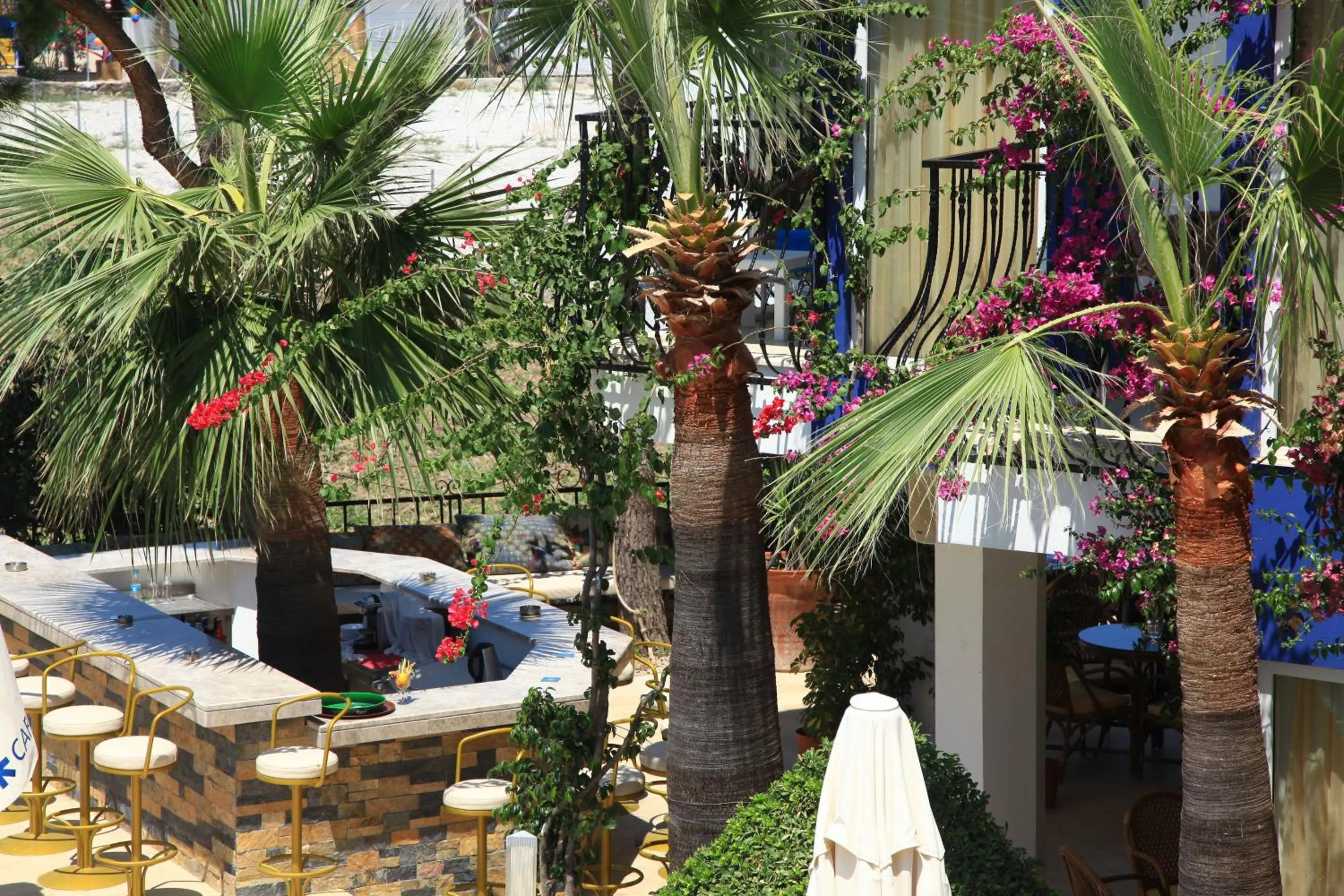 Garden view in Catamaran Hotel