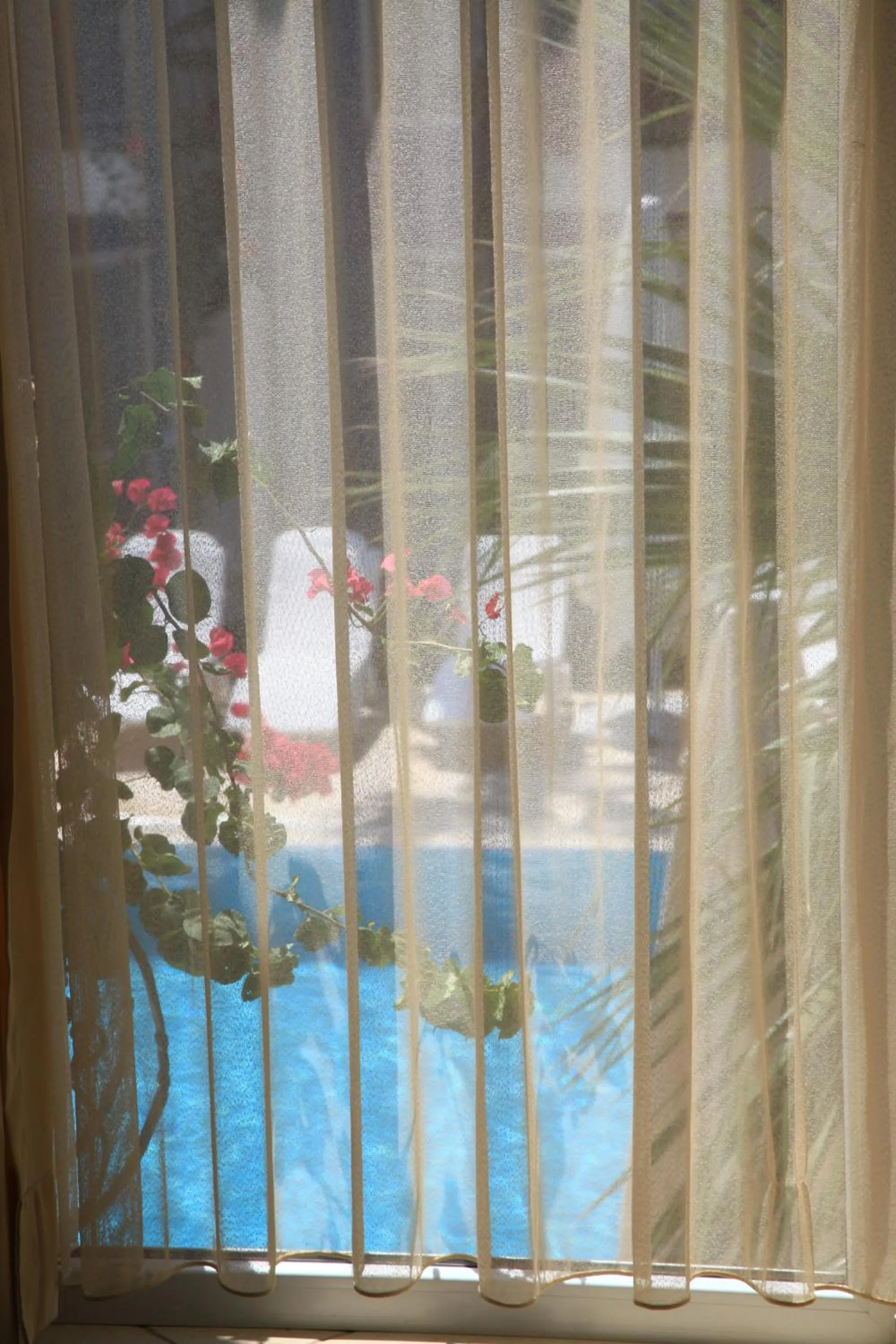 Garden in Catamaran Hotel