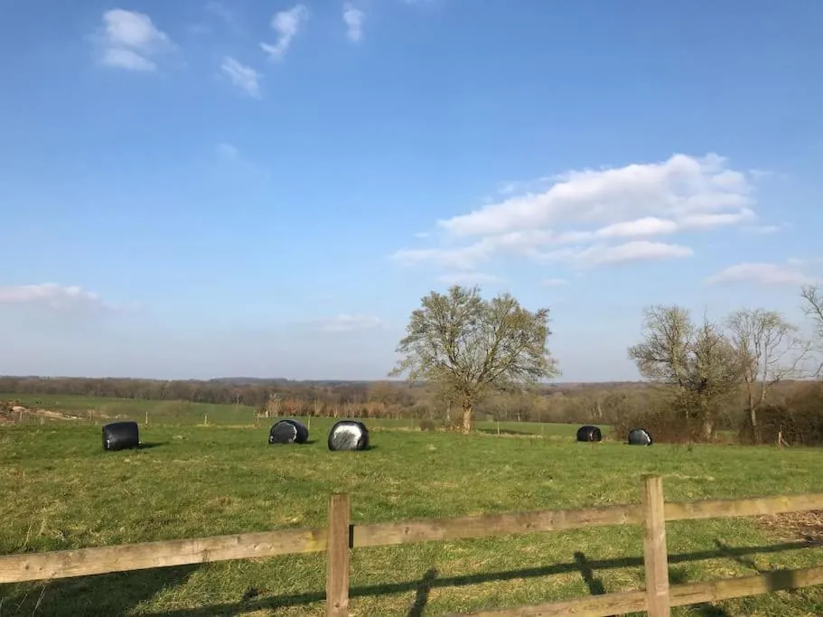 The Cowshed
