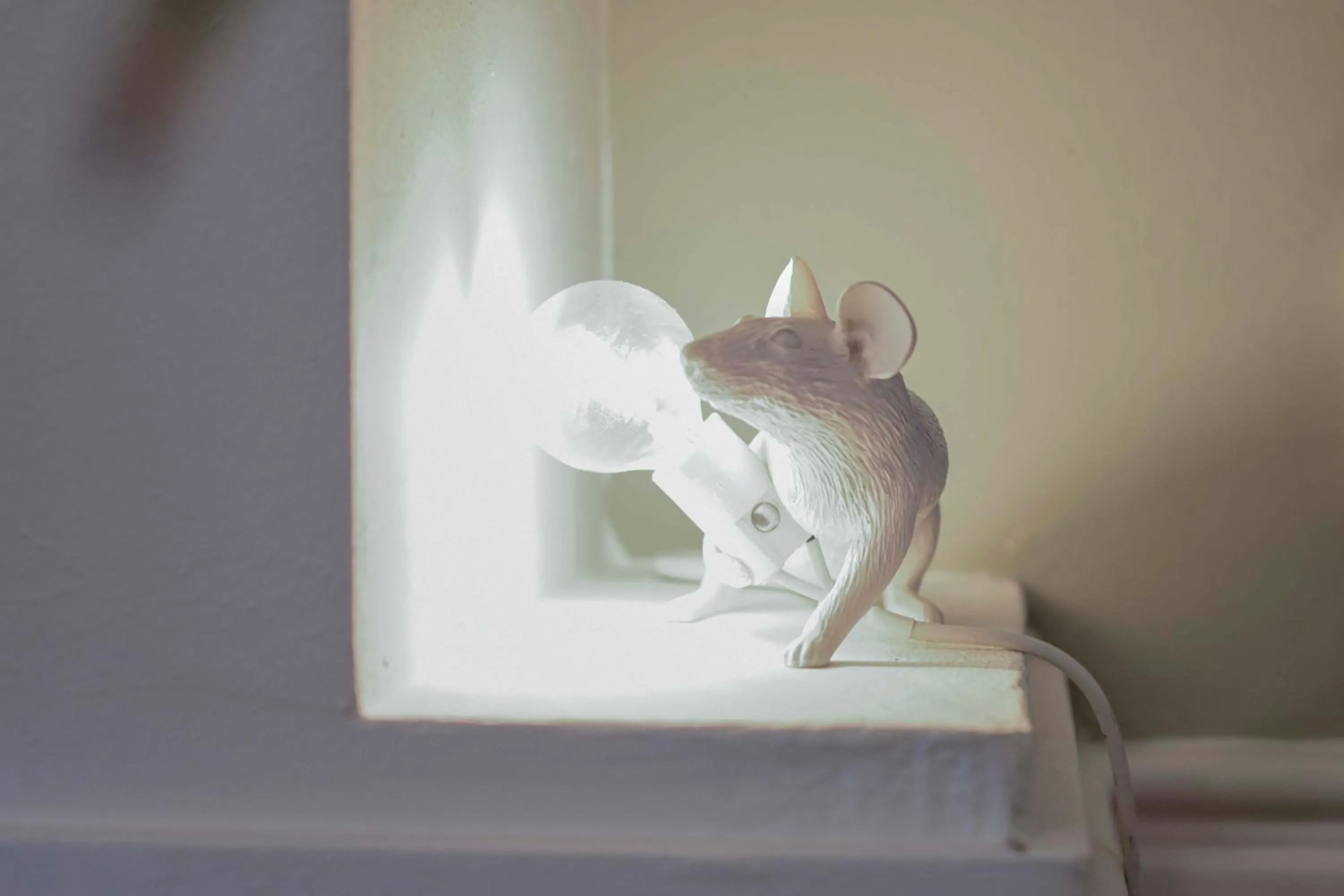 Communal lounge/ TV room in Hotel Asterisk, a family run hotel