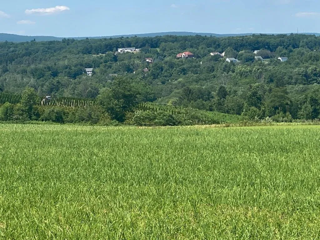 Day in Chestnuthill Countryside Manor