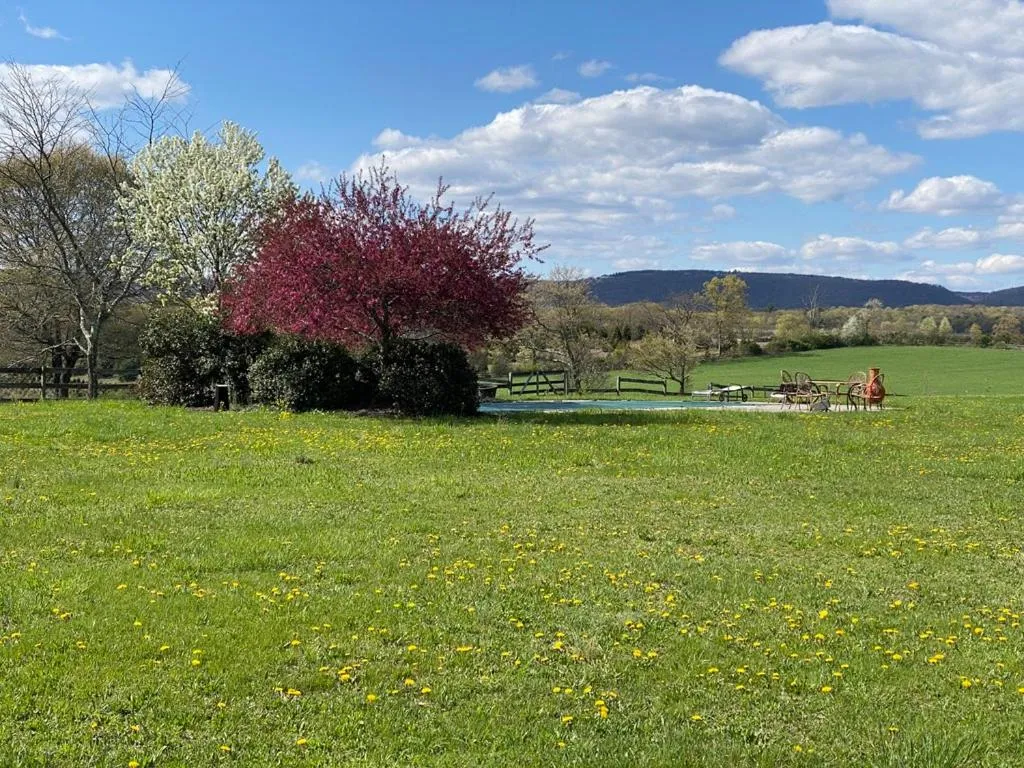 Swimming pool in Chestnuthill Countryside Manor