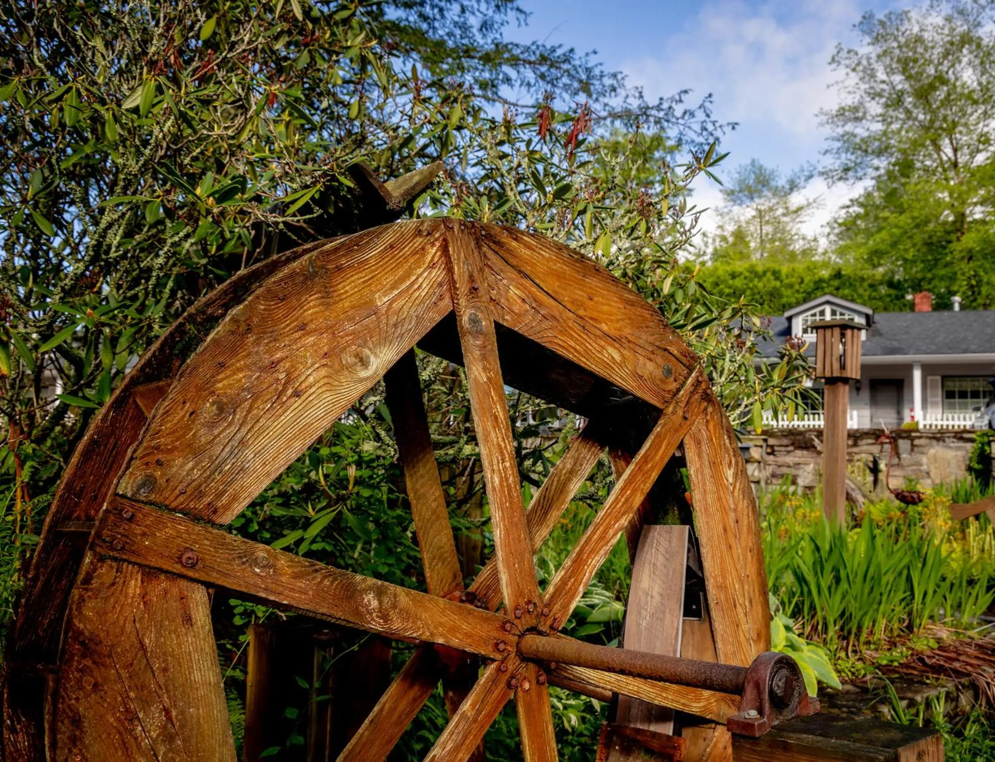 Garden in Azalea Garden Inn