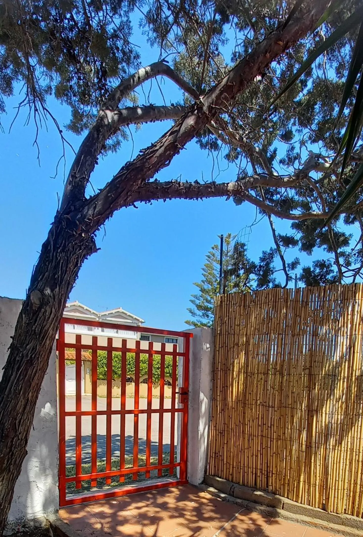 Property Building in Casa Sticcadu