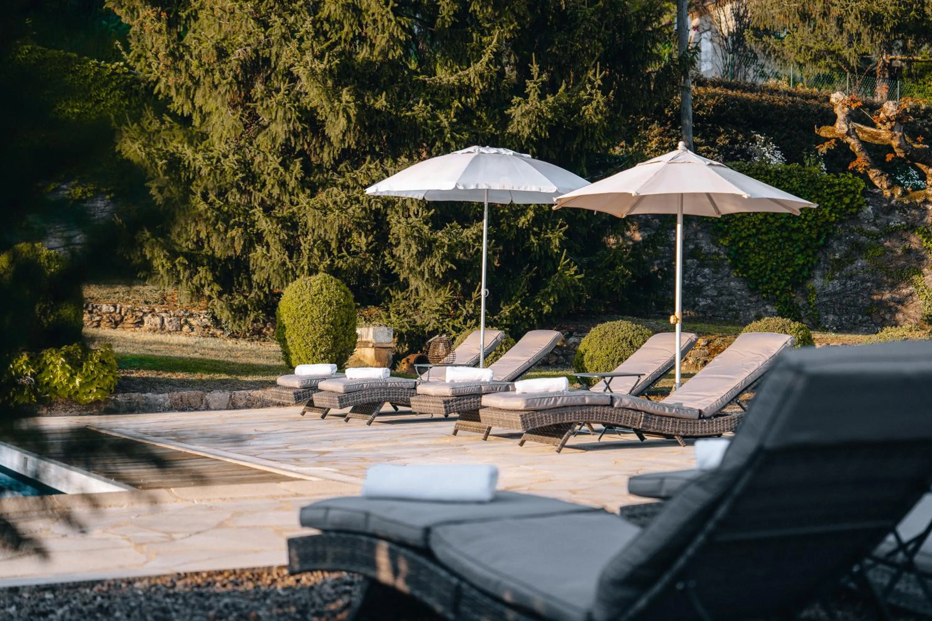 Garden in Hôtel l'Abbaye