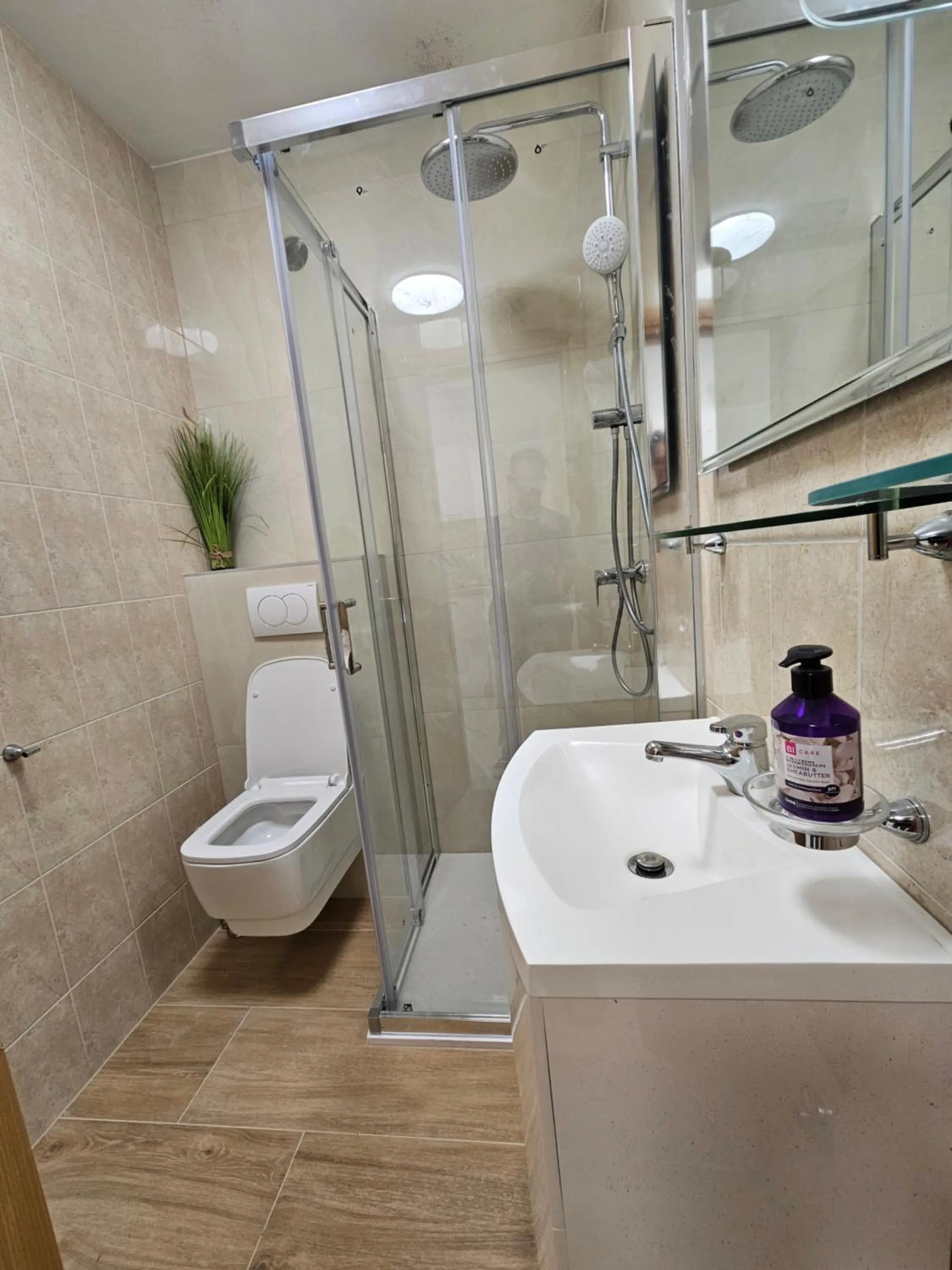 Shower in Apartment Mary