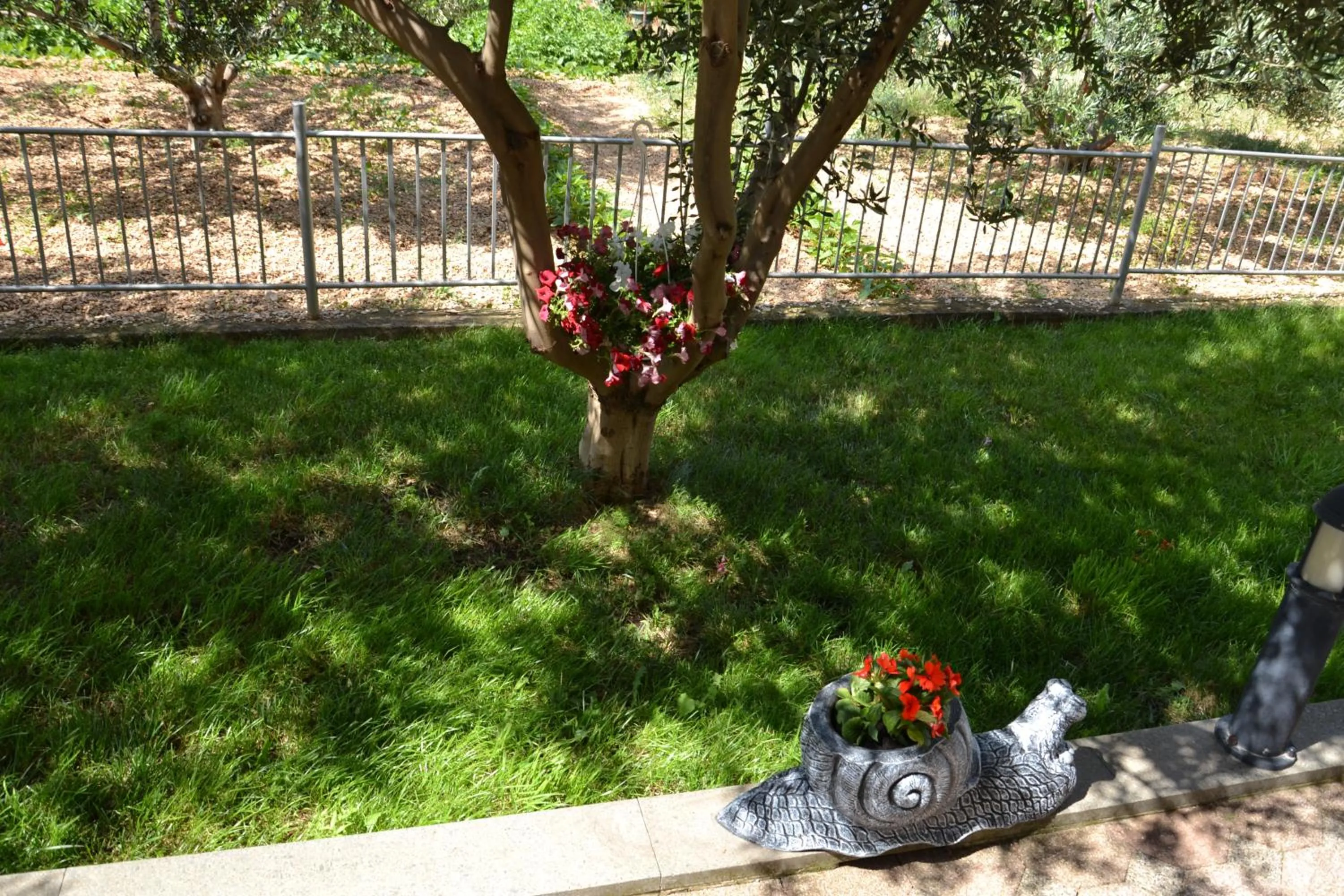 Garden in Apartment Mary