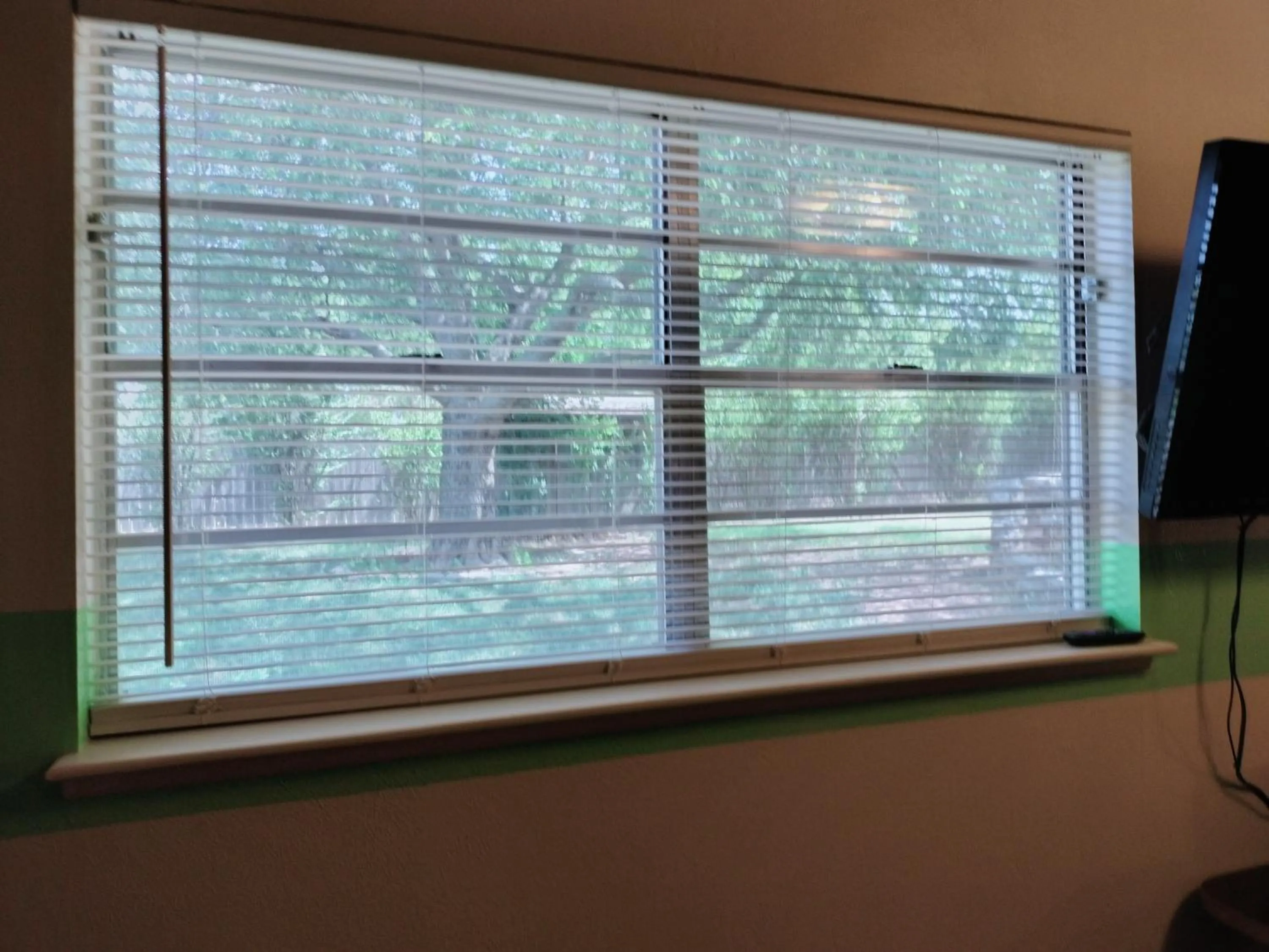 Golden Sunflower's Apt E