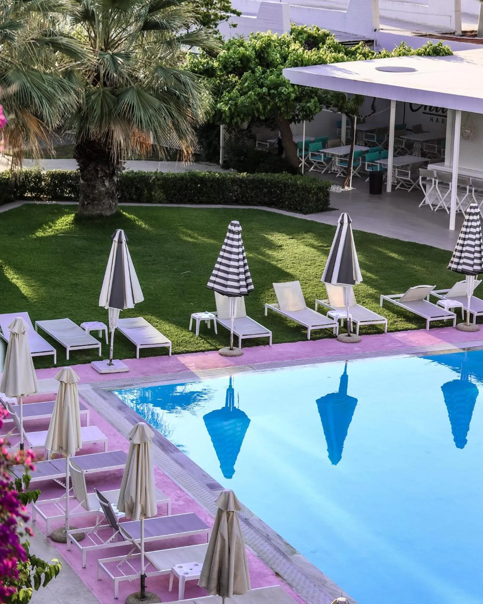 Garden in Marathon Beach Resort