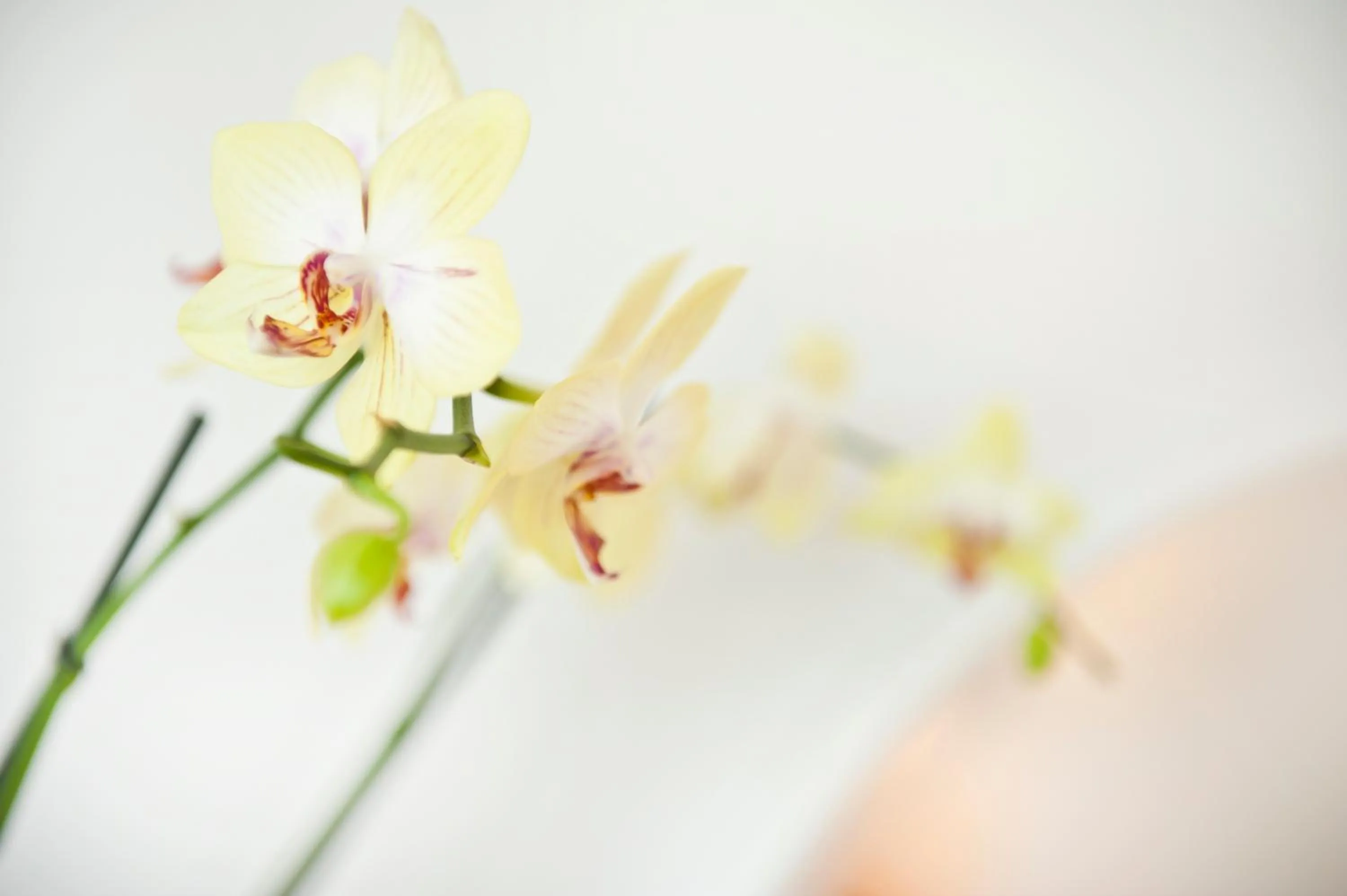 Other in Marathon Beach Resort