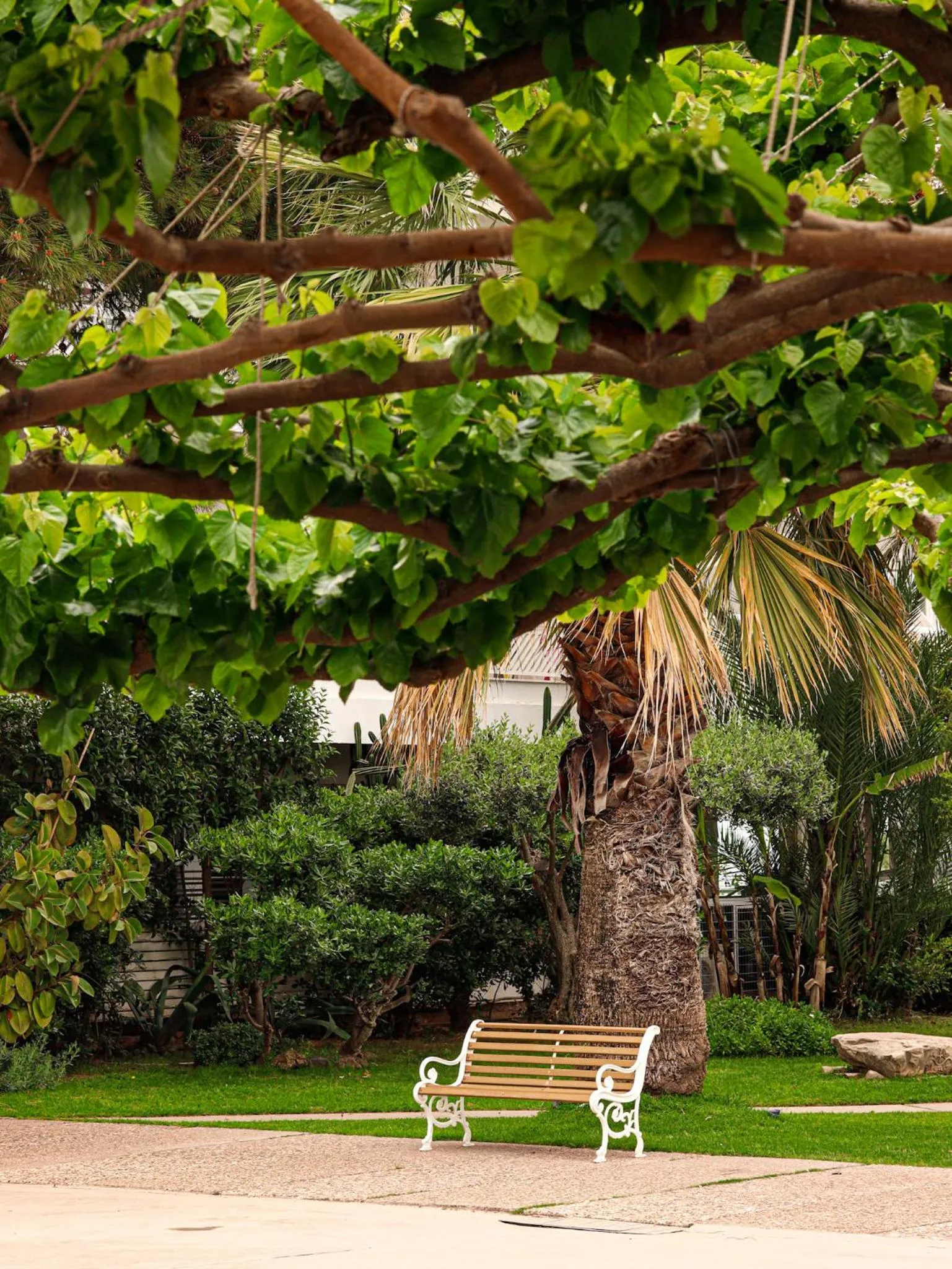 Day in Marathon Beach Resort