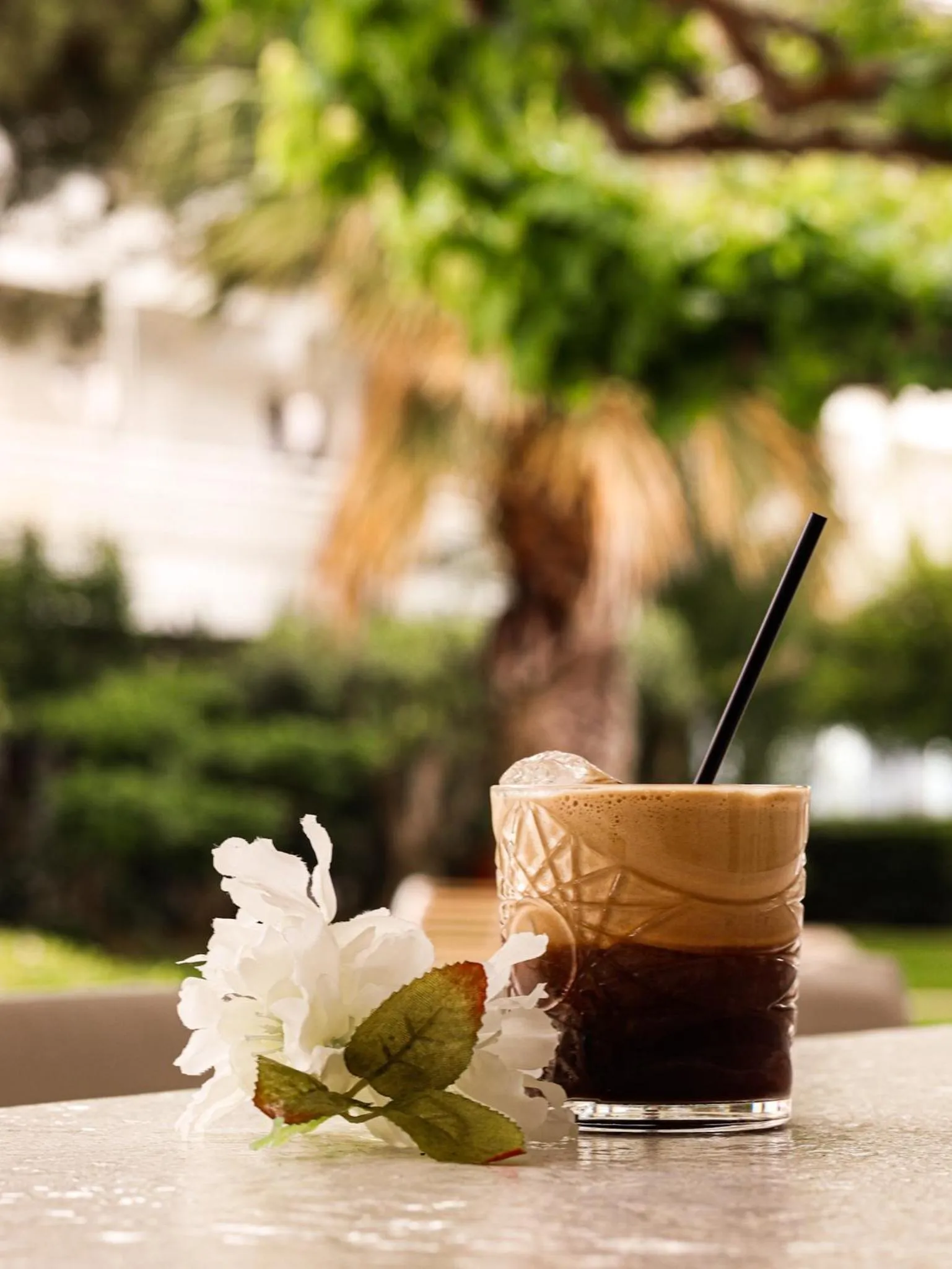 Garden in Marathon Beach Resort