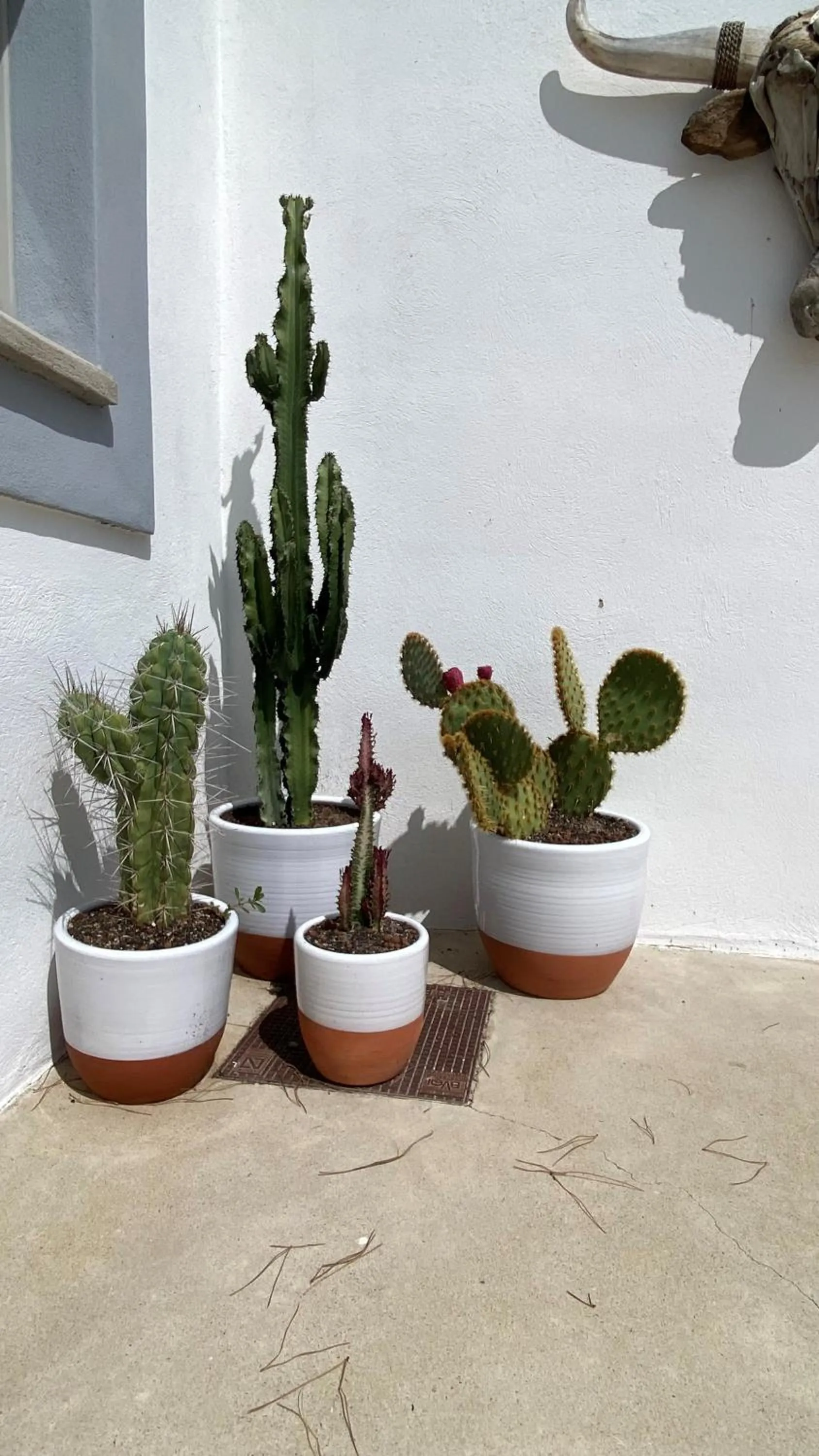 Facade/entrance in Lodge Sainte Helene Adult only