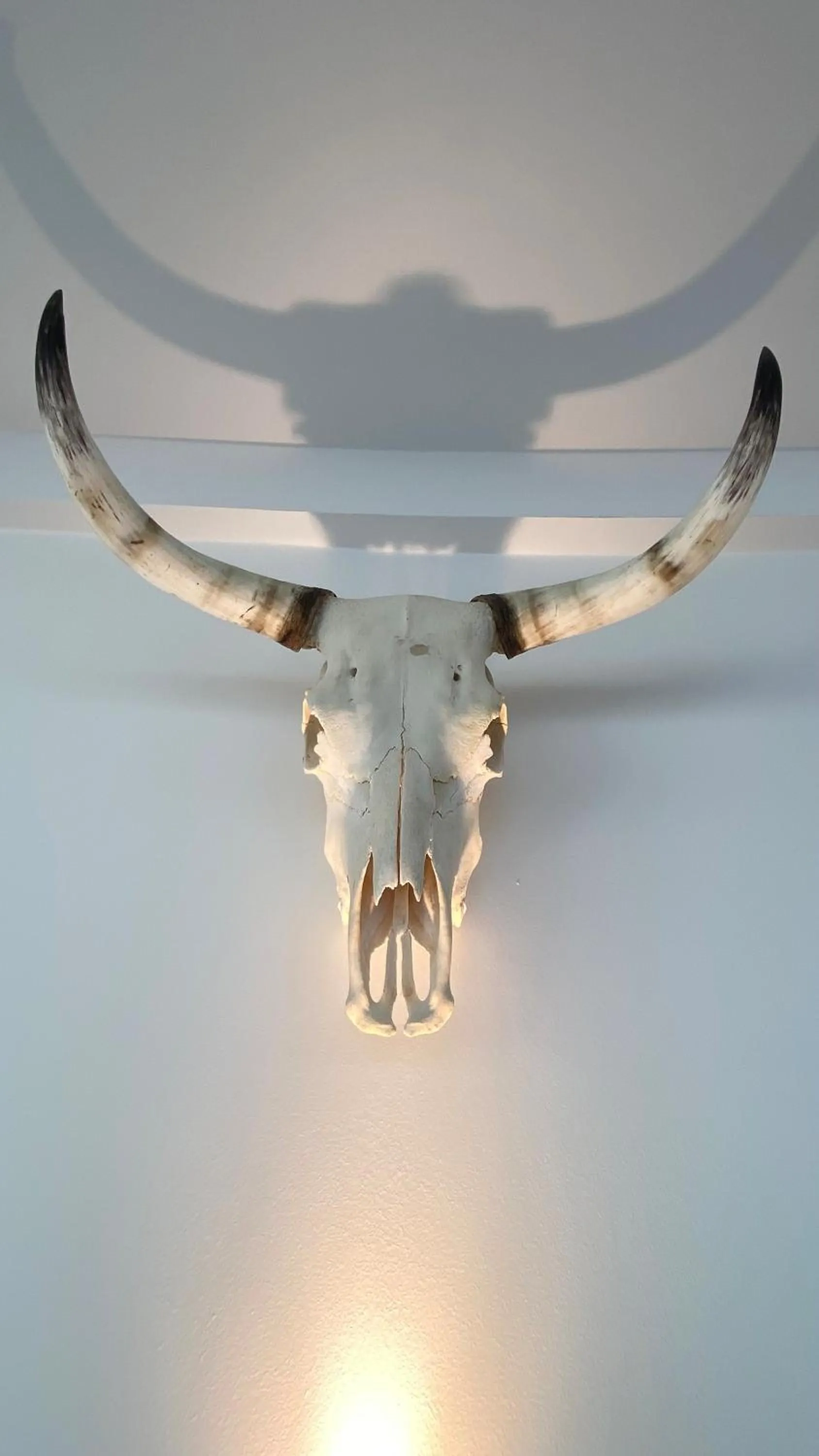 Breakfast in Lodge Sainte Helene Adult only