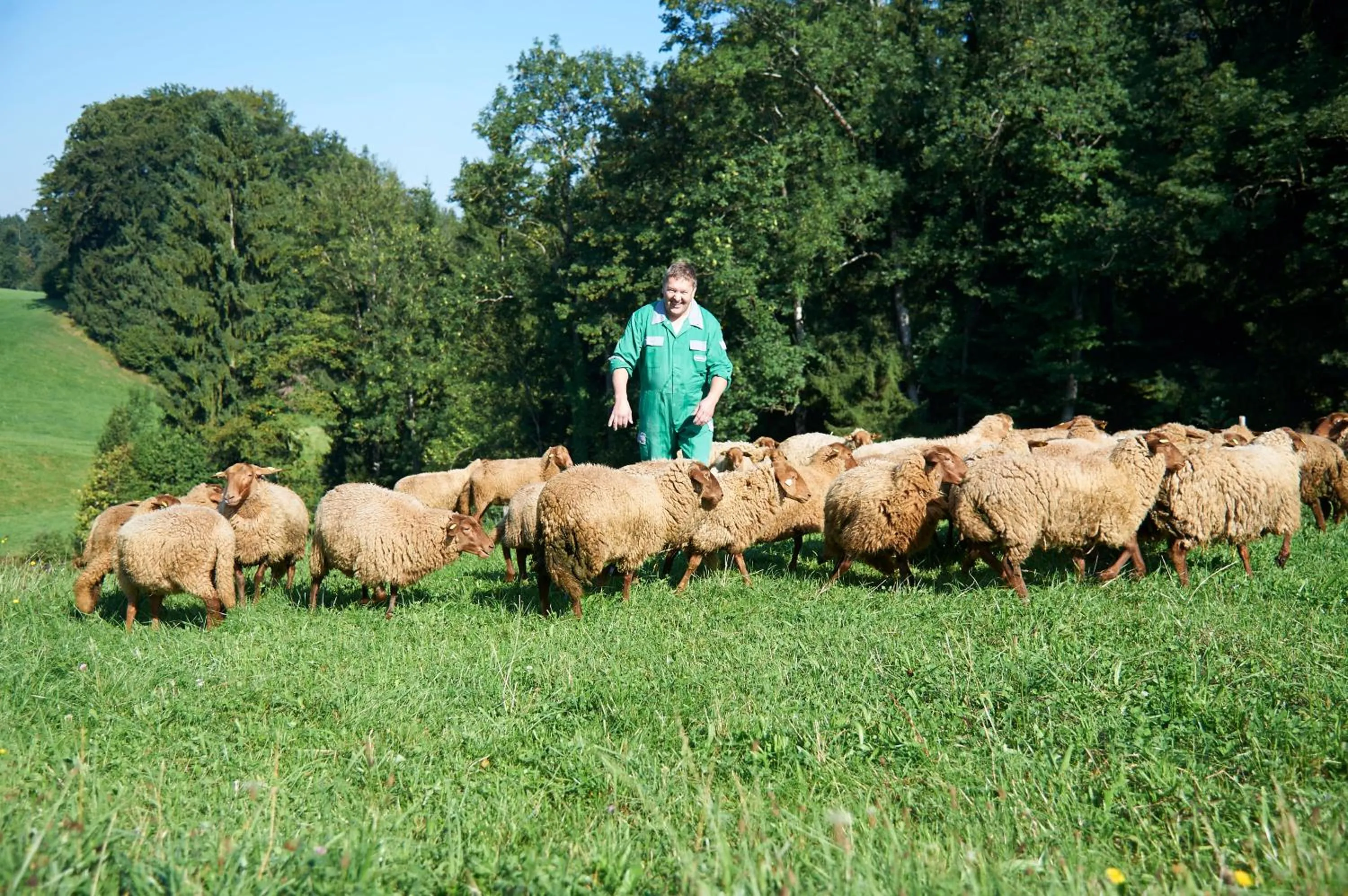 Animals in Gastagwirt