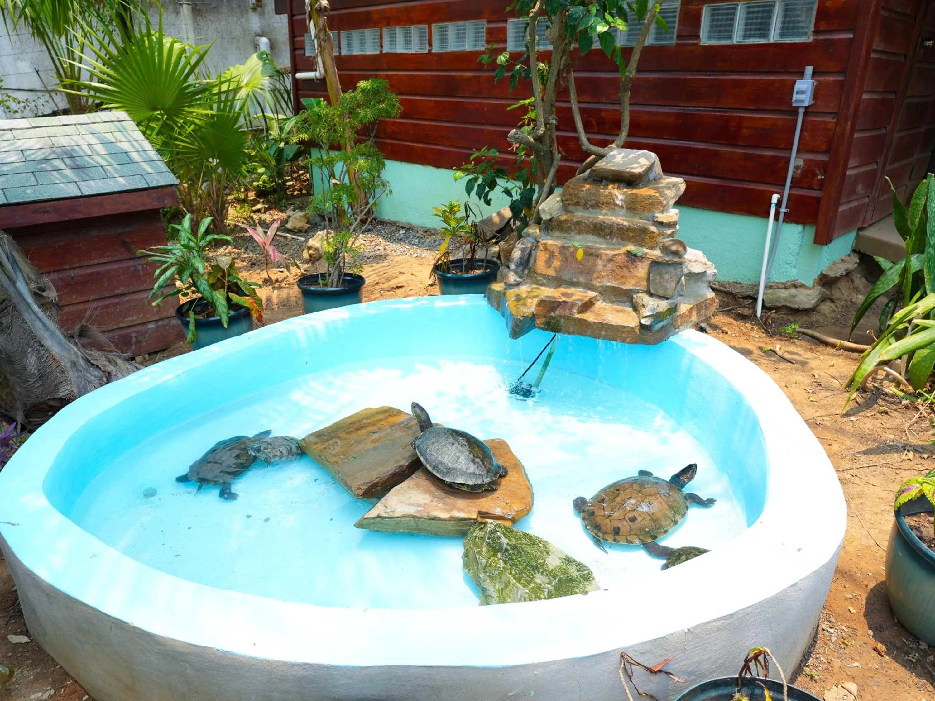 Natural landscape in West Bay Lodge and Spa