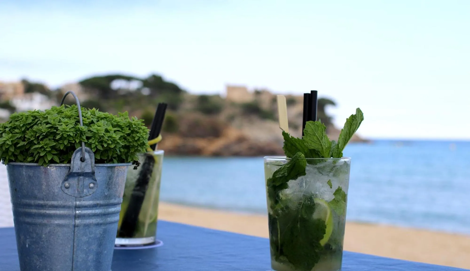 Alcoholic drinks in Hostal La Fosca