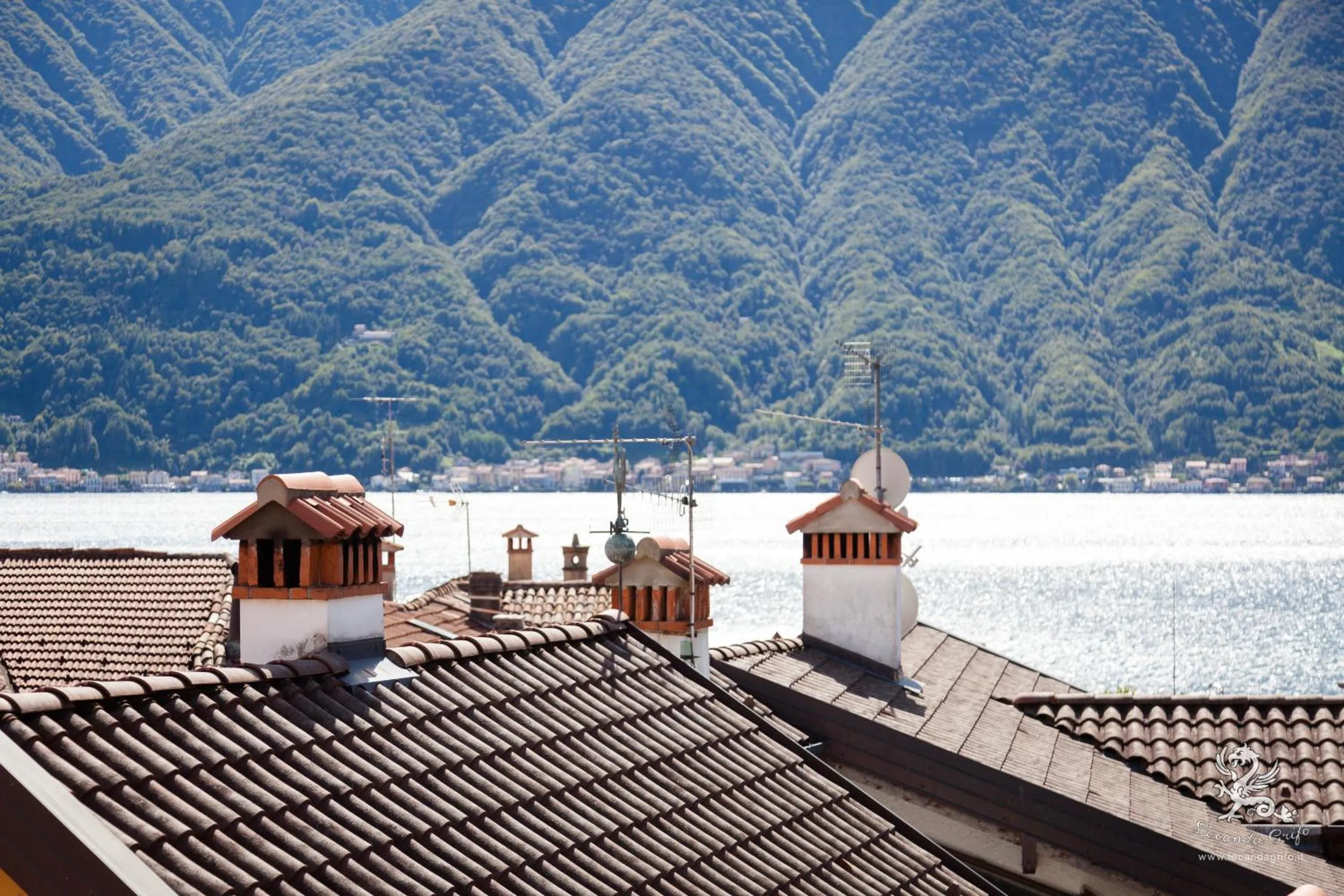 City view in Il Grifo