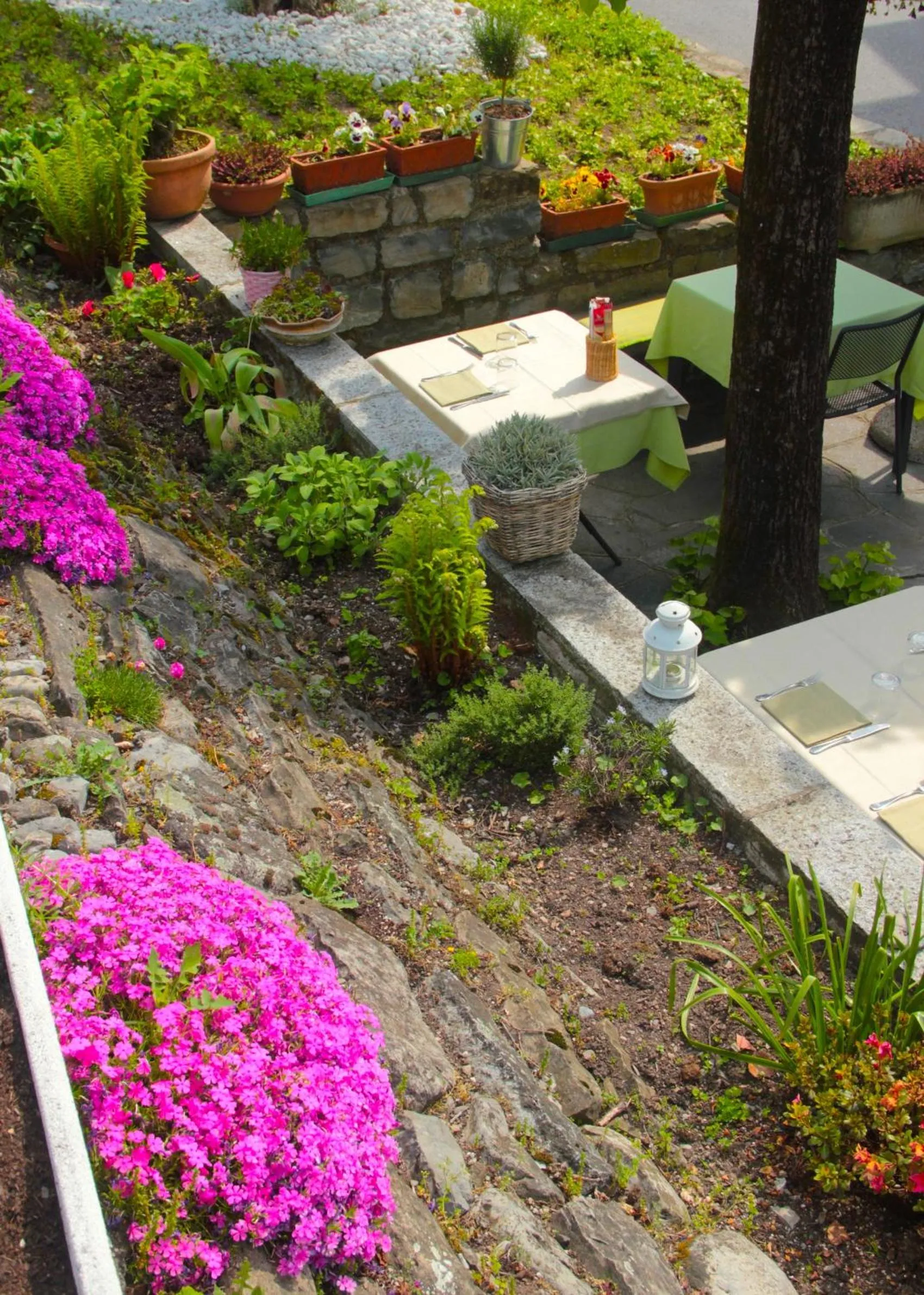 Garden view in Il Grifo