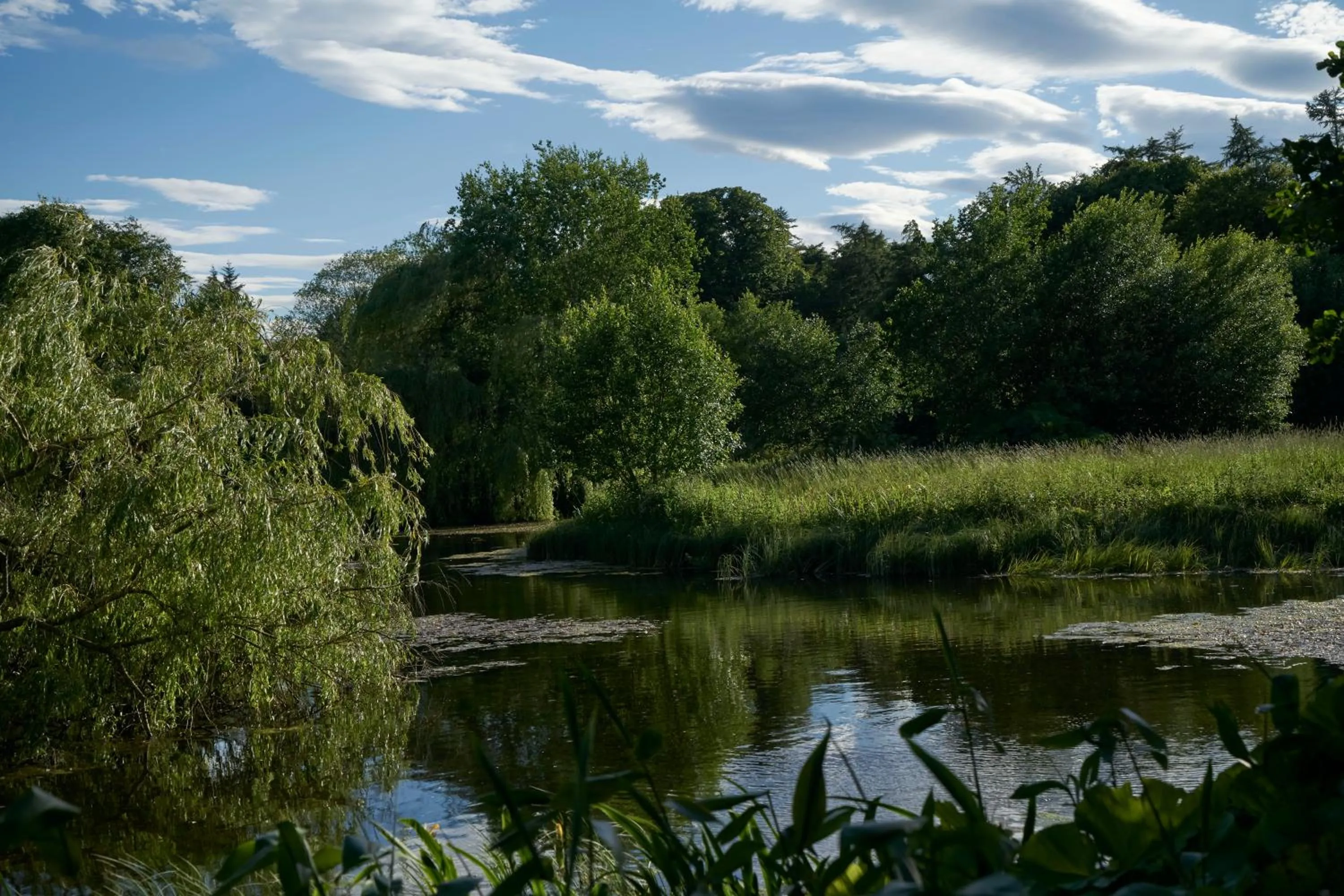 Natural landscape in Boath House Hotel